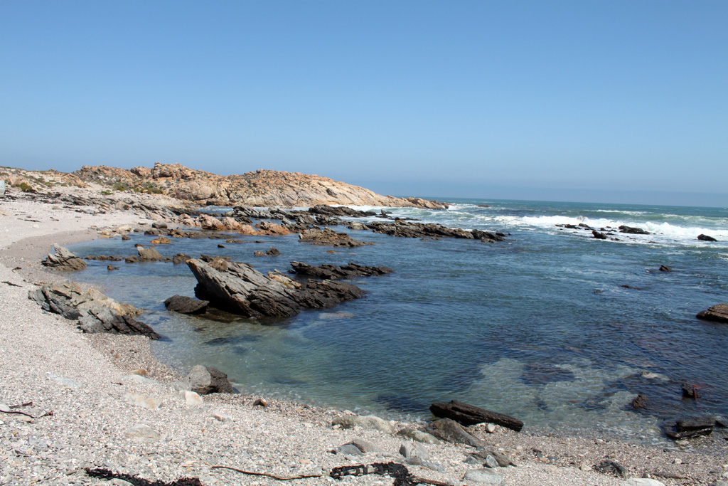 Green Scorpions probe coastal dams