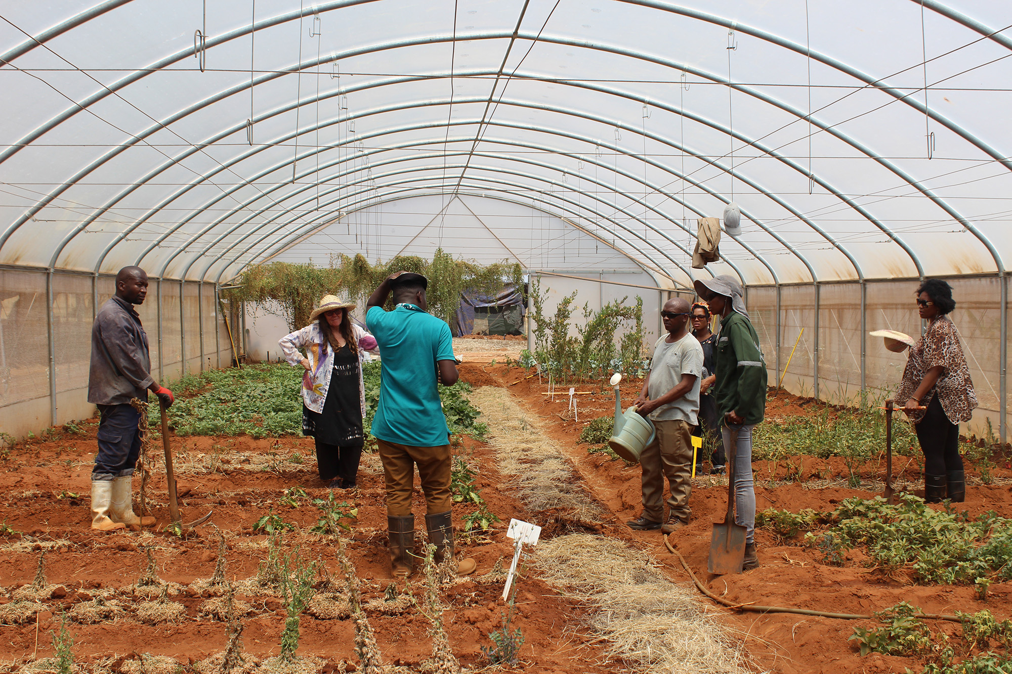 Indigenous crops: Local is not only lekker, it’s also a weapon in the climate crisis battle