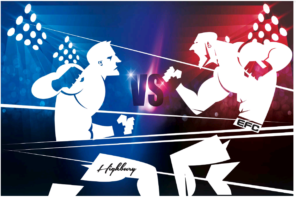 Mixed martial arts company won’t go down without a fight in battle with South African media firm