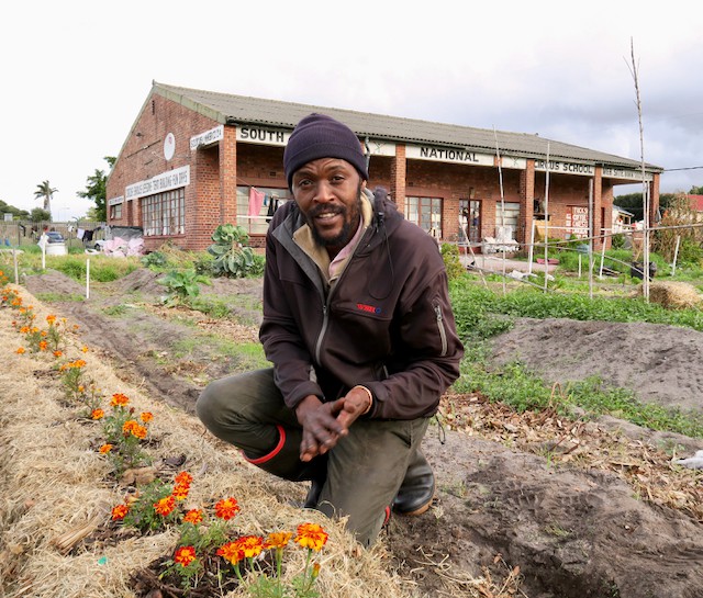 City of Cape Town to evict dozens of Observatory residents from former circus school grounds