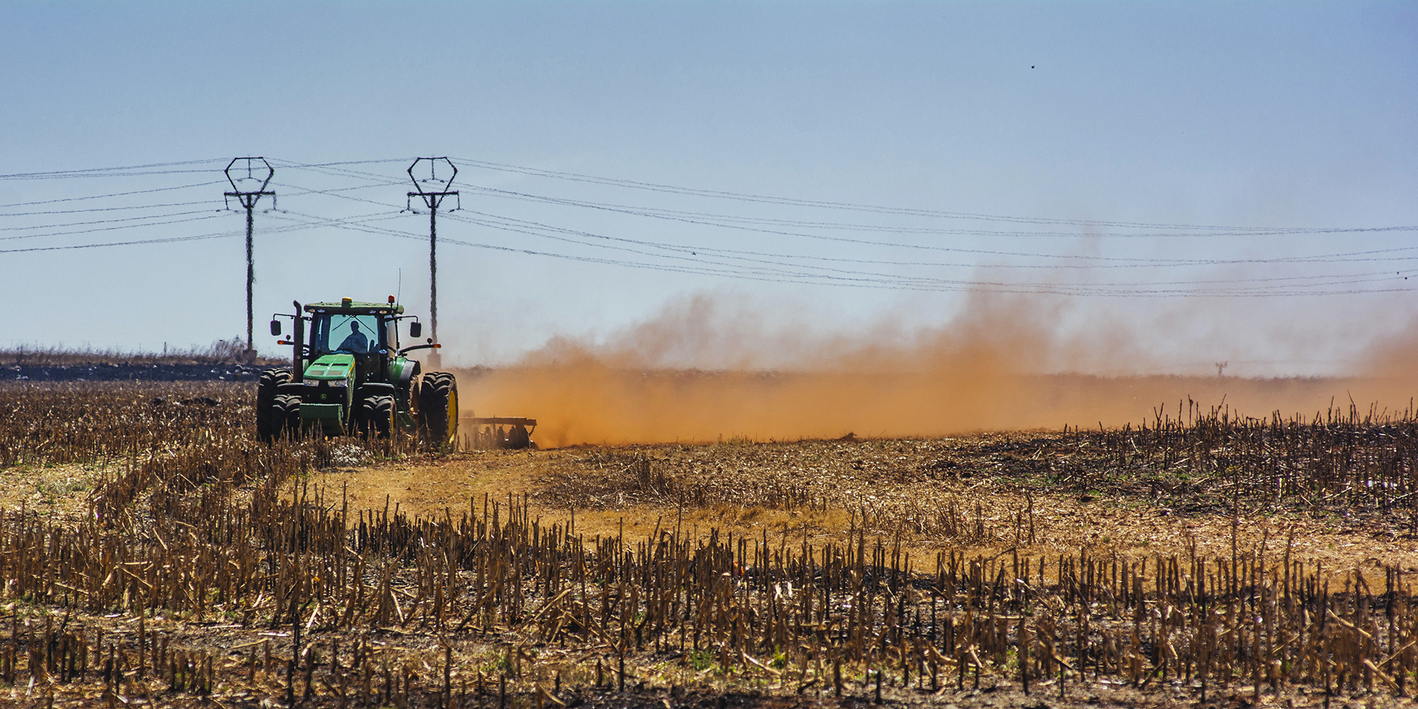 Rising domestic and international agricultural input costs set to squeeze both farmers and consumers