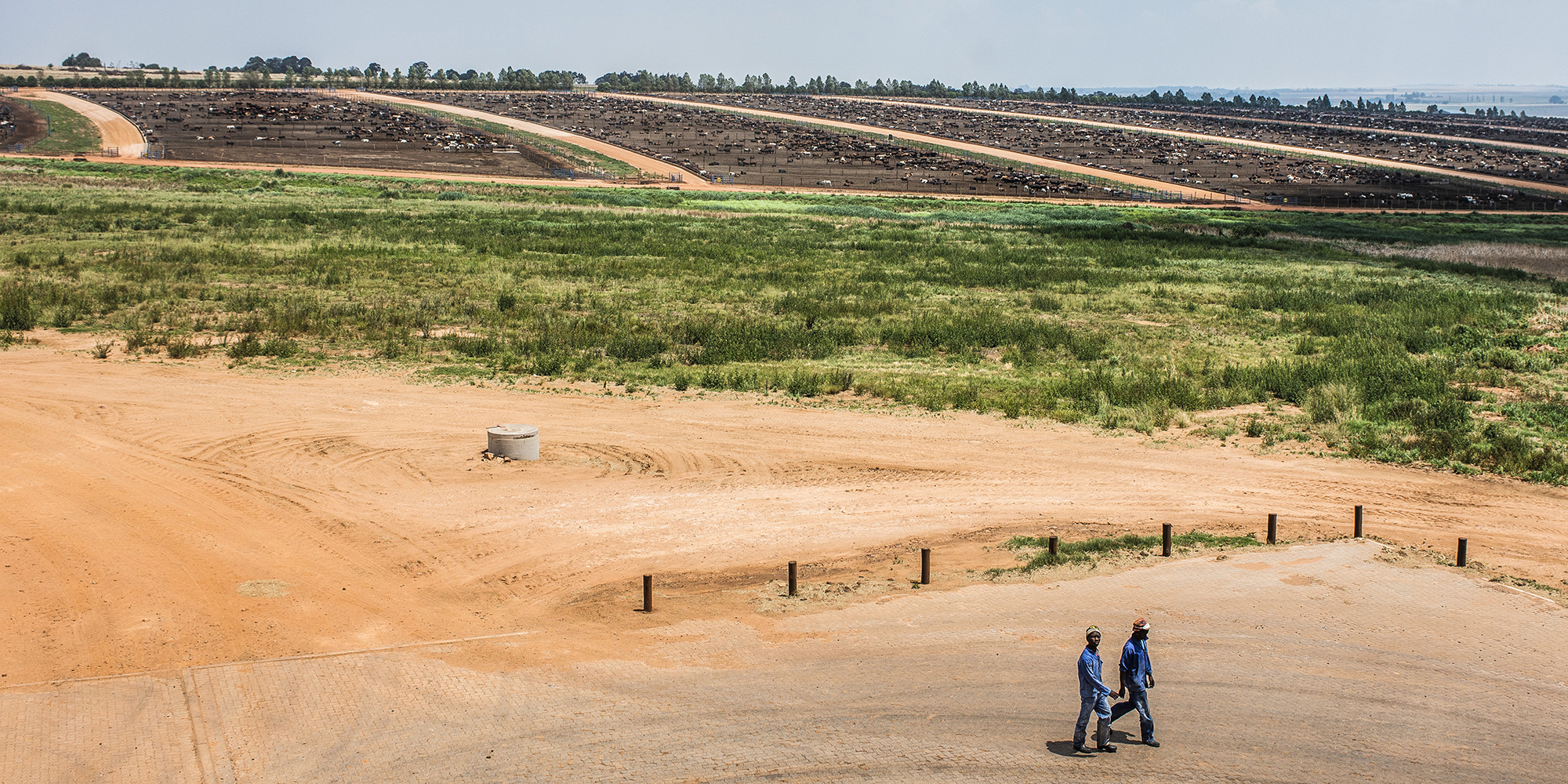 Government bailouts and suspension of loans to farms improve Land Bank’s financial position