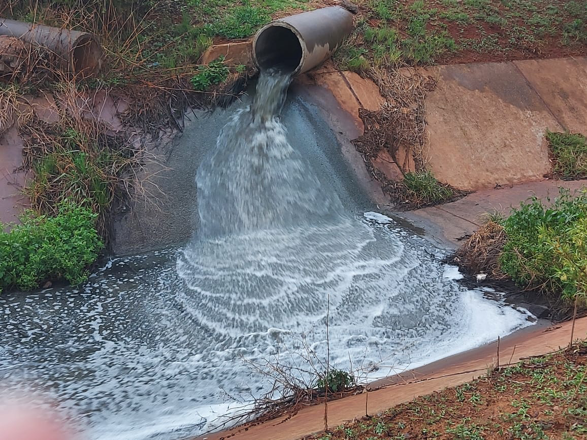 ‘A story of South Africa’: Emfuleni residents fed up with Vaal River pollution inertia 