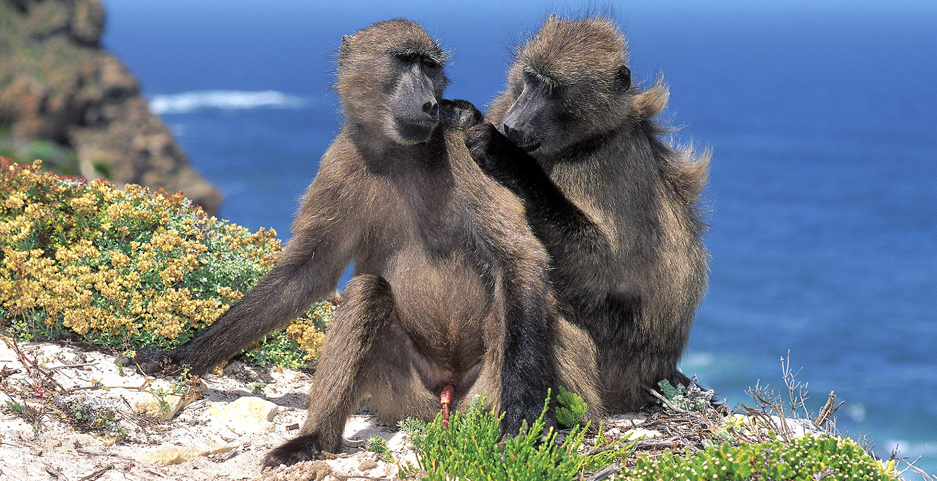 SA in ground-breaking rethink on protection of biodiversity