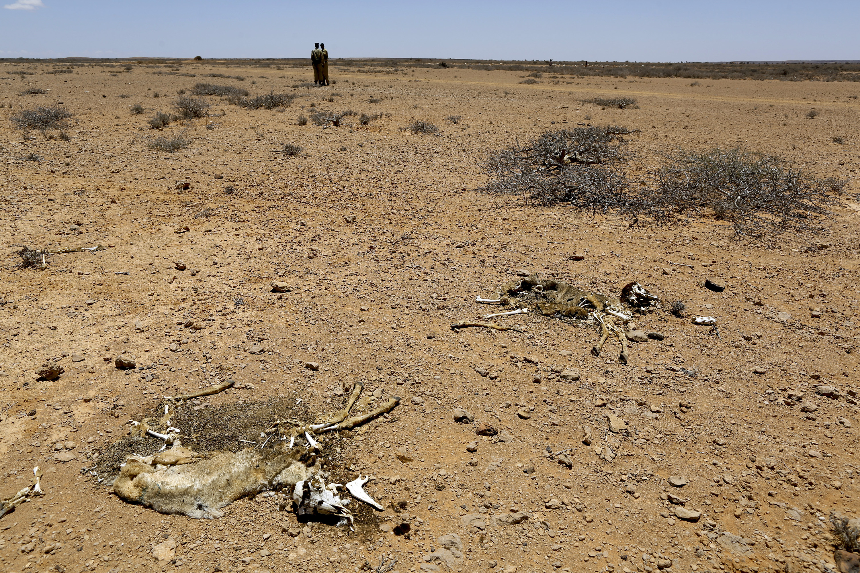 Five ways in which finance for climate adaptation in Africa falls short