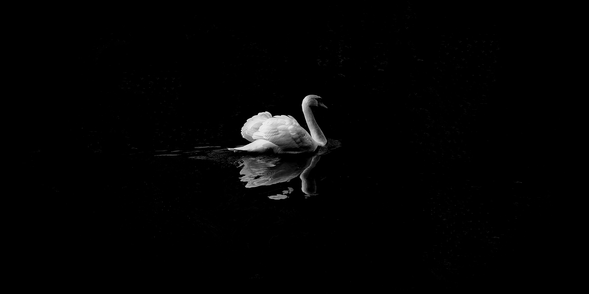 The changing nature of black swans in an economy built for a world that no longer exists