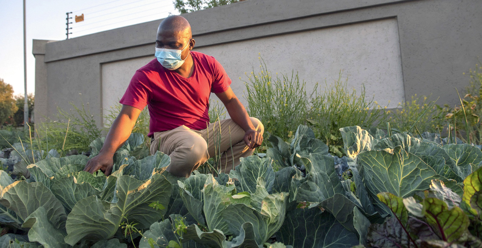 Winner: ‘Cabbage Bandit’ Djo BaNkuna; Runners-up: Gift of the Givers’ Gideon Groenewald & Bulungula’s Lynne Wilkinson