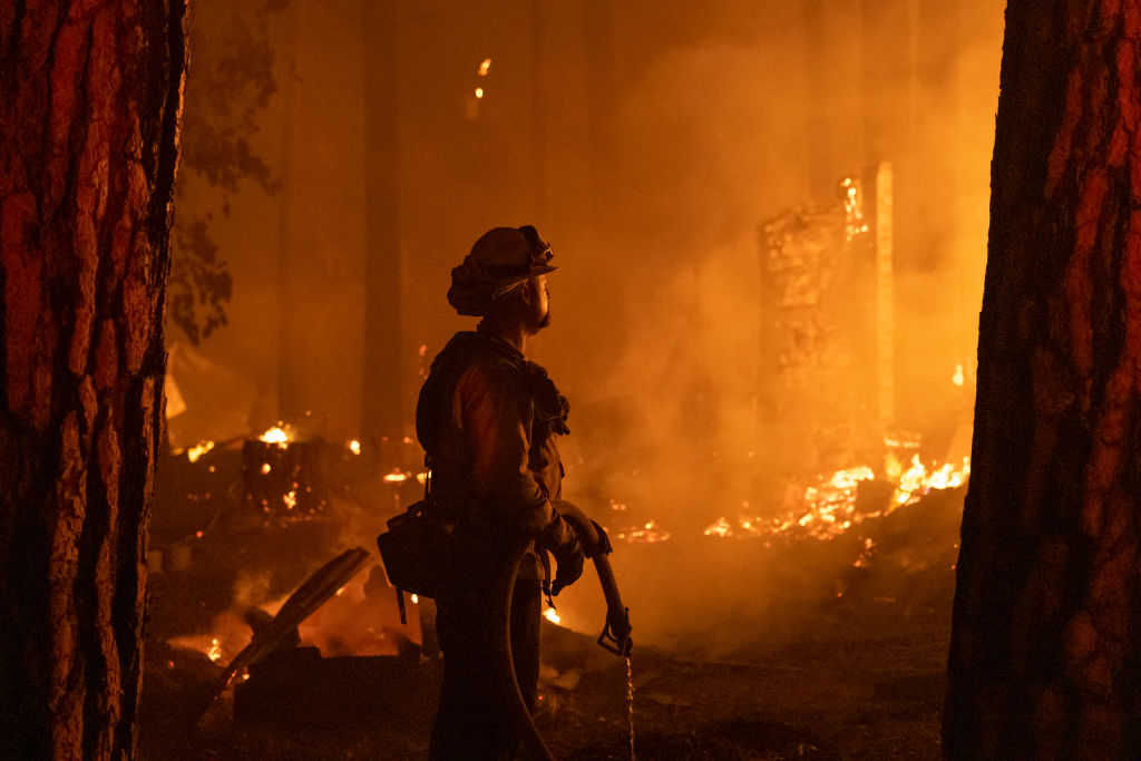 Global panel predicts frightening future of disasters and extinctions – and that’s our best-case scenario