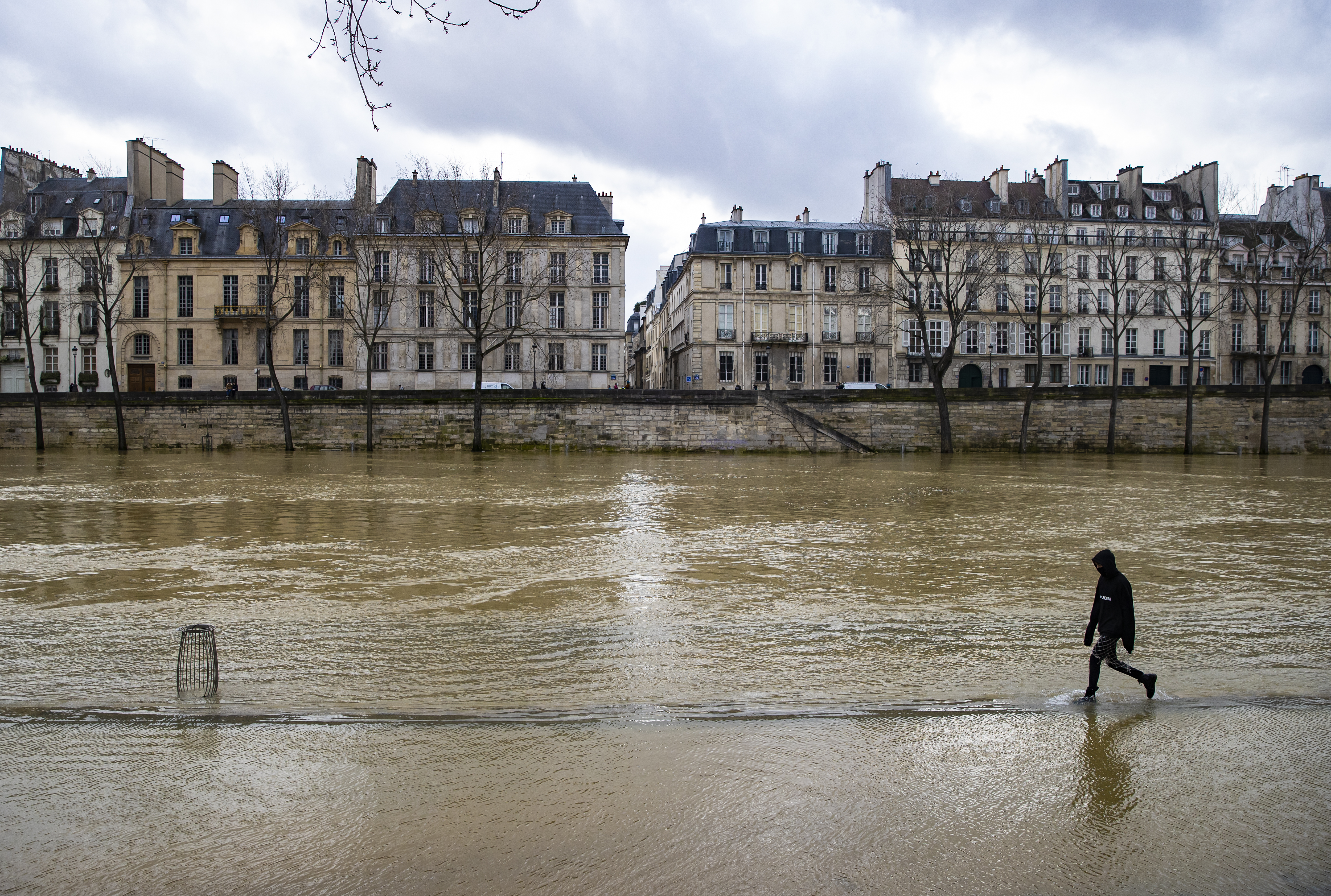 New whale spotted in Seine river one month after the death of an orca