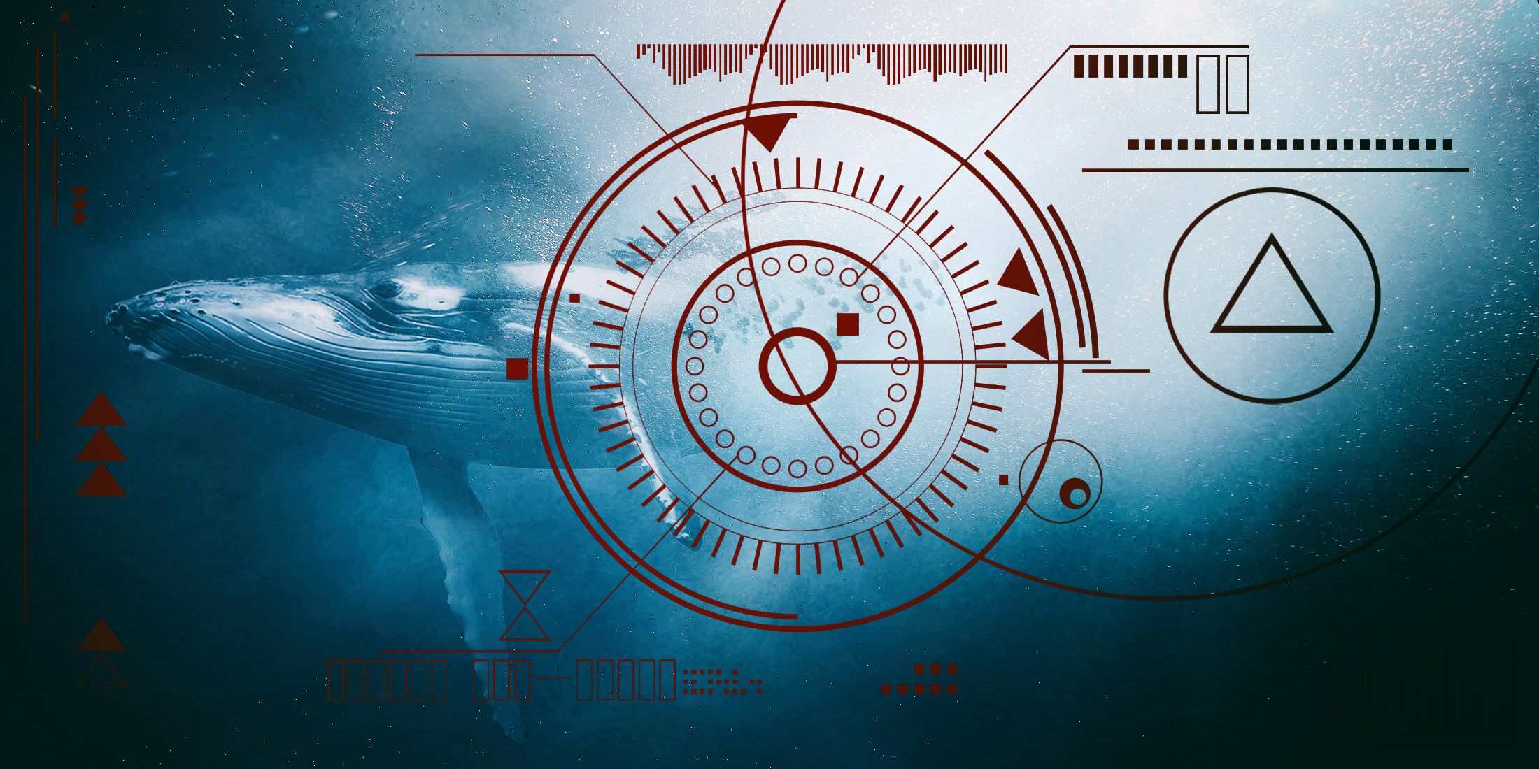 Fishers and civic organisations take legal action against West Coast seismic surveying