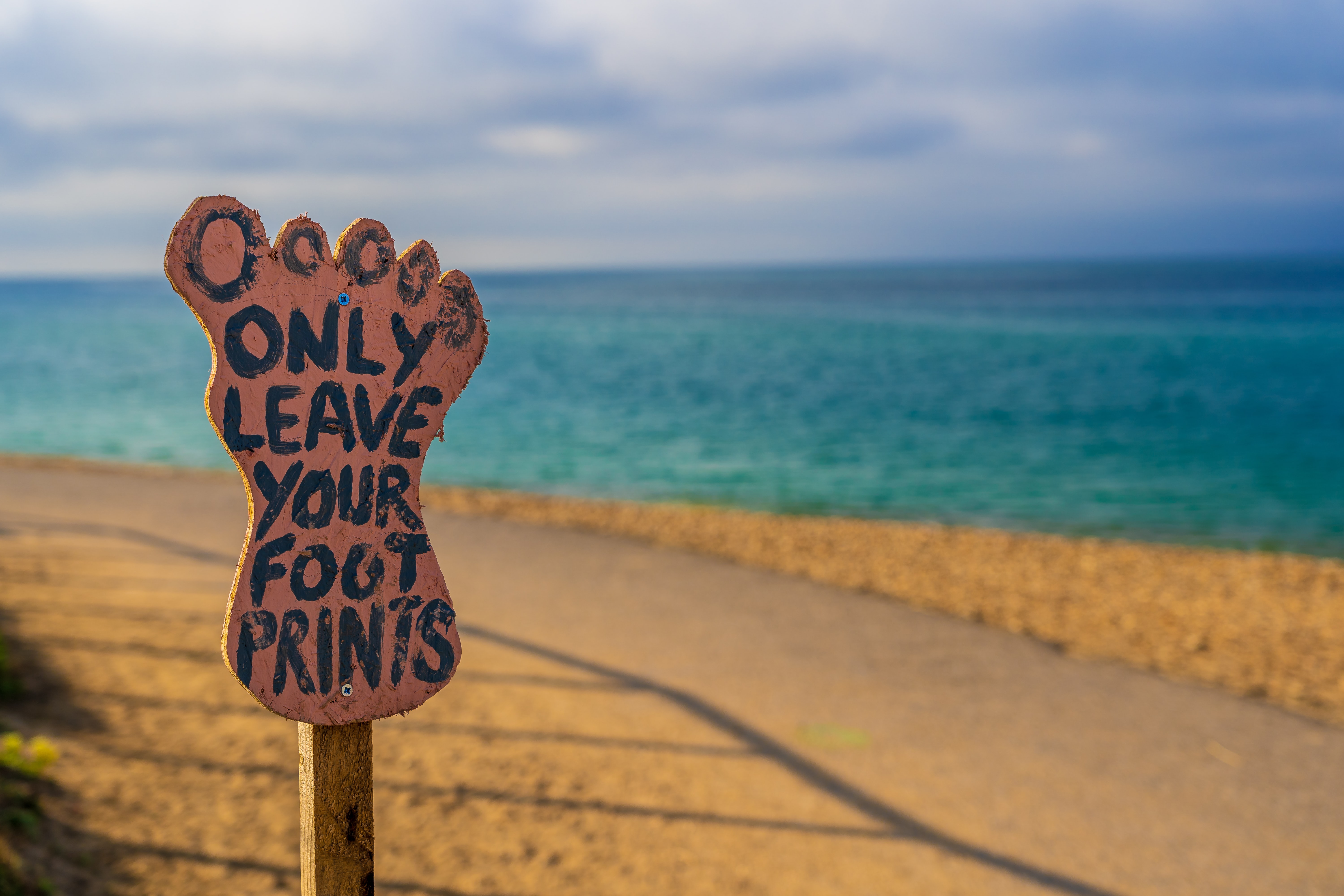 Four New Year’s resolutions for a healthier environment