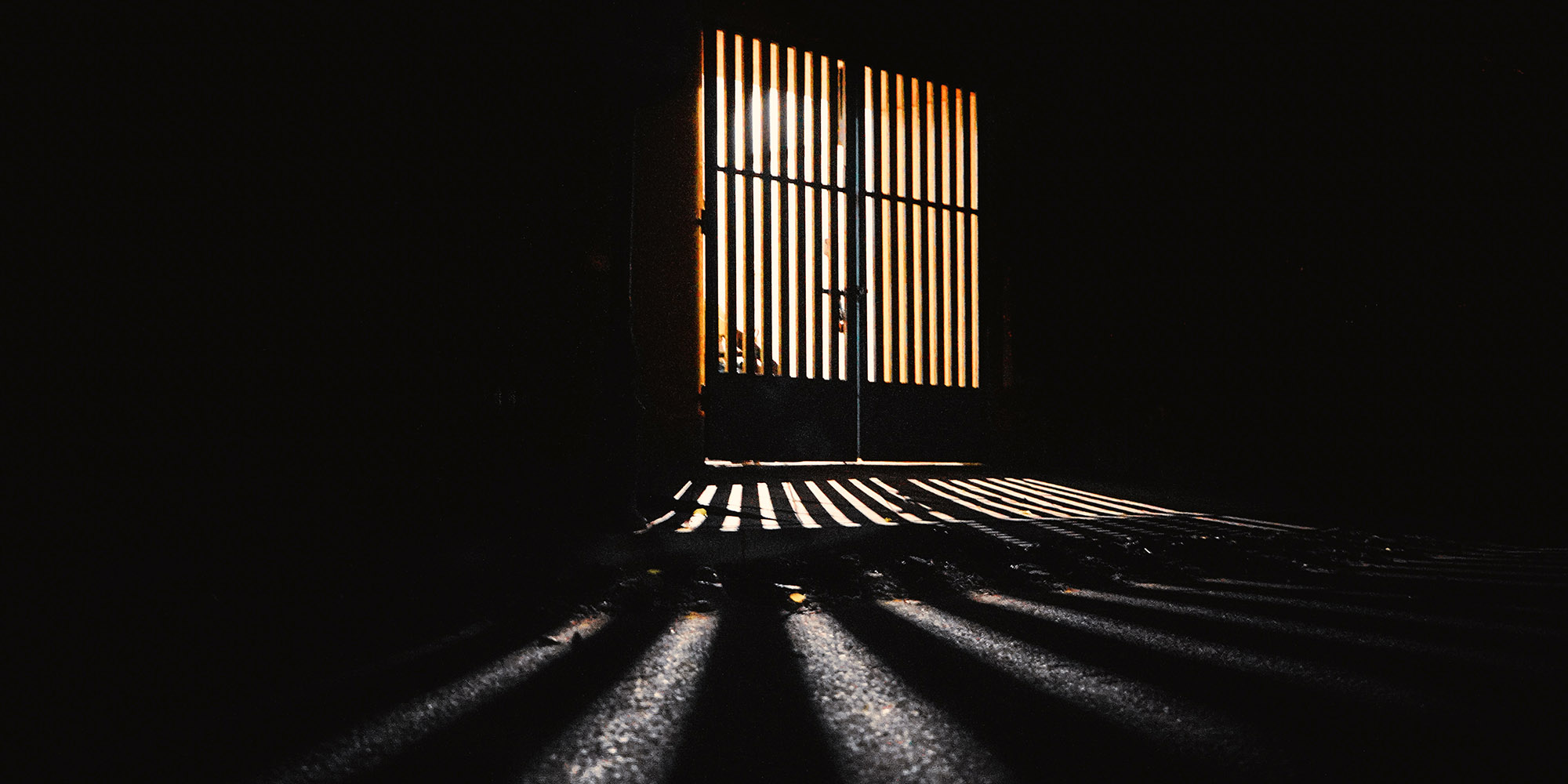 Daily roll call of arrests, NPA prosecutions and convictions — 15 February 2022