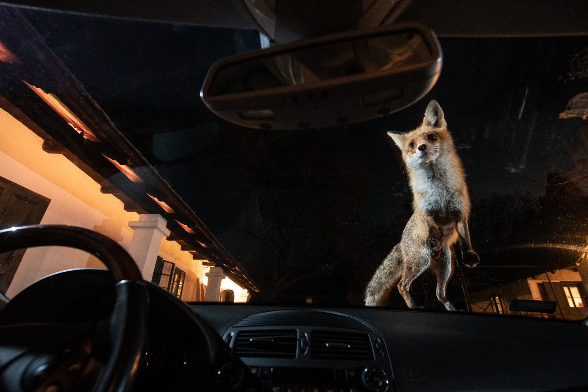 2022 Sony World Photography Awards: Nature, Wildlife and Still Life