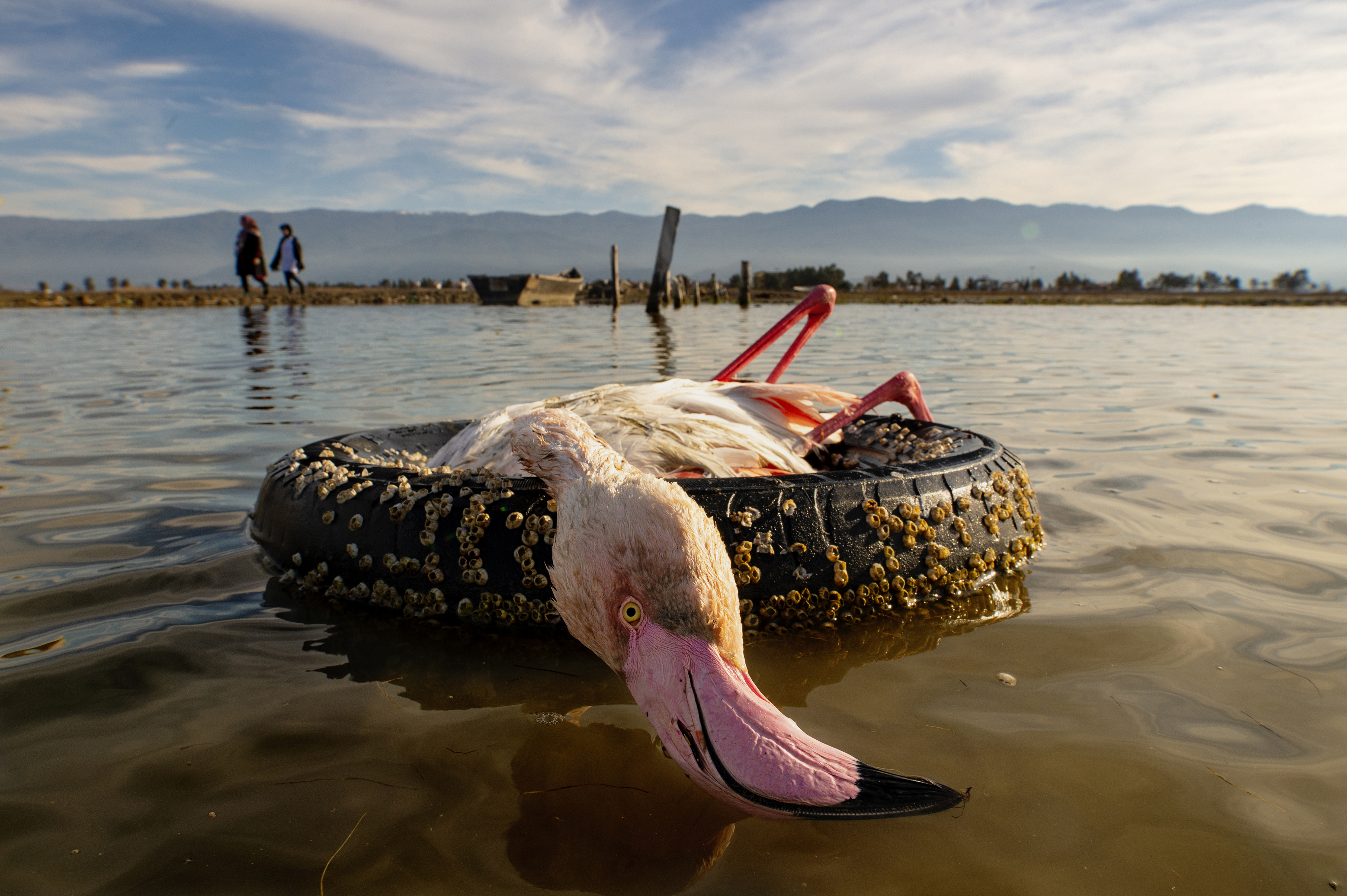 In images: Highlighting environment and documentary projects