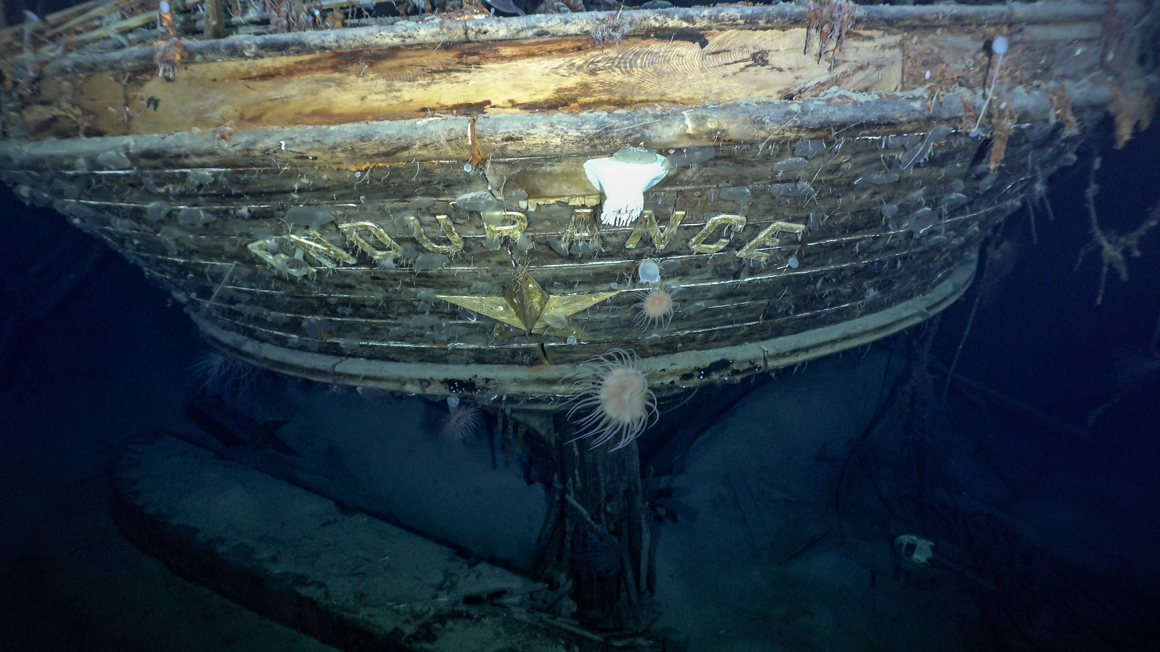 Endurance's watery grave: SA Agulhas II plays major role as Shackleton's legendary ship is found after 108 years
