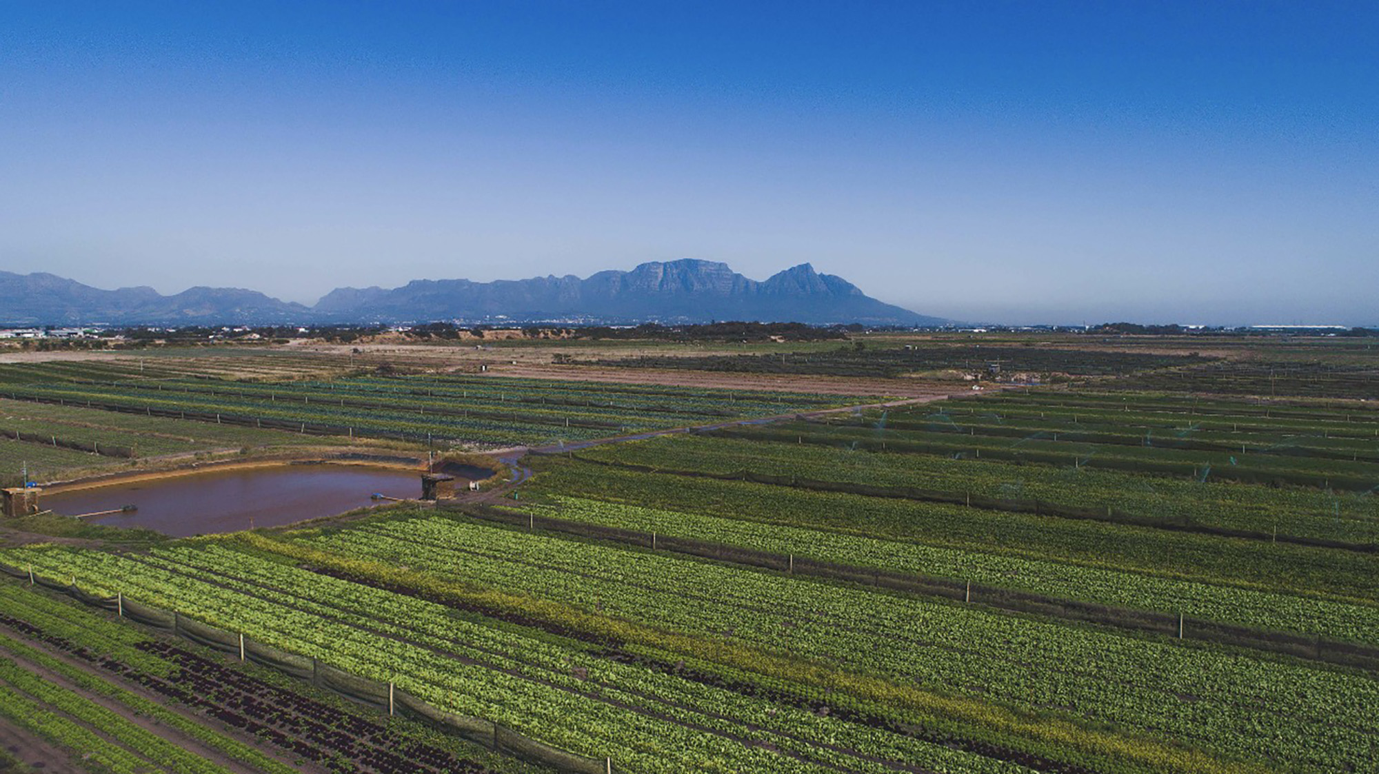 As water resources dwindle, managed aquifer recharge offers hope for a resilient future