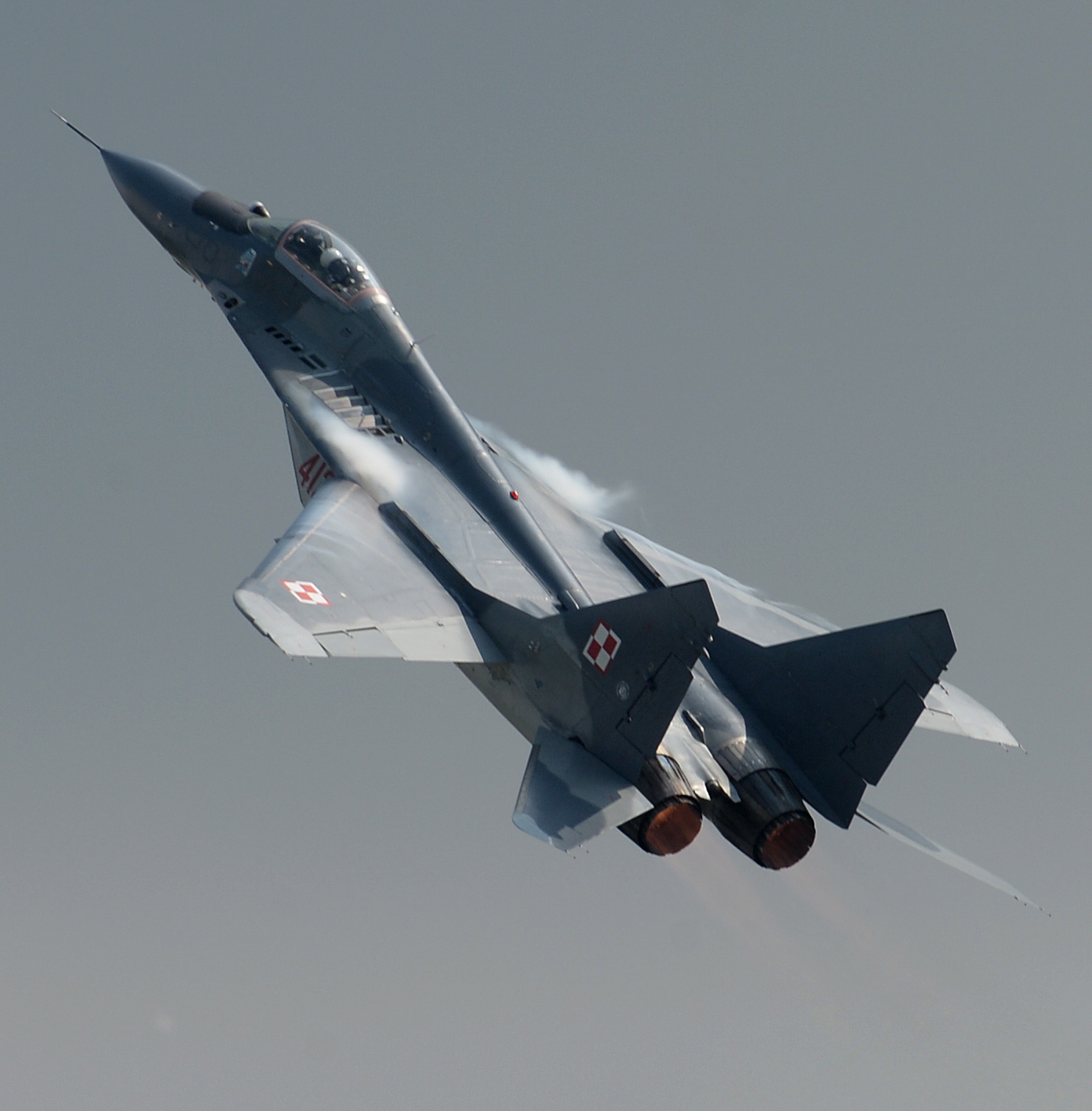 Poland ready to place all its MIG-29 fighter jets at the disposal of US