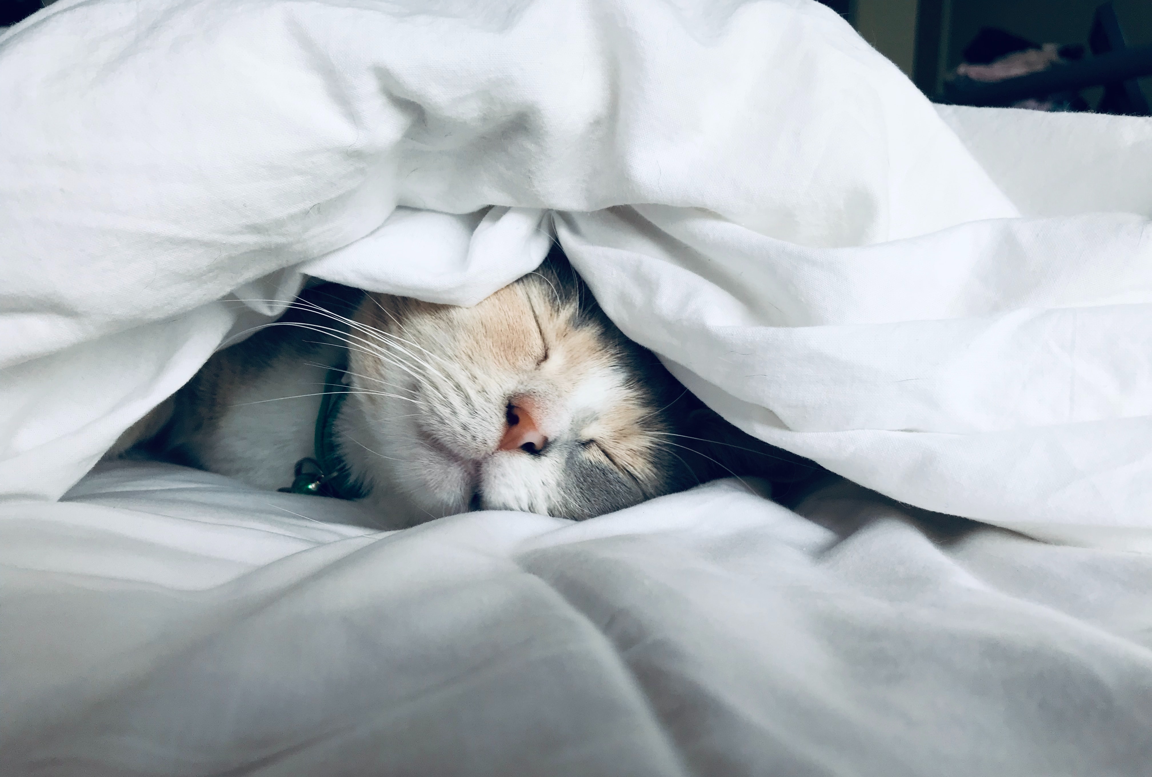 Here’s how much sleep you really need for optimal cognition and wellbeing – new research