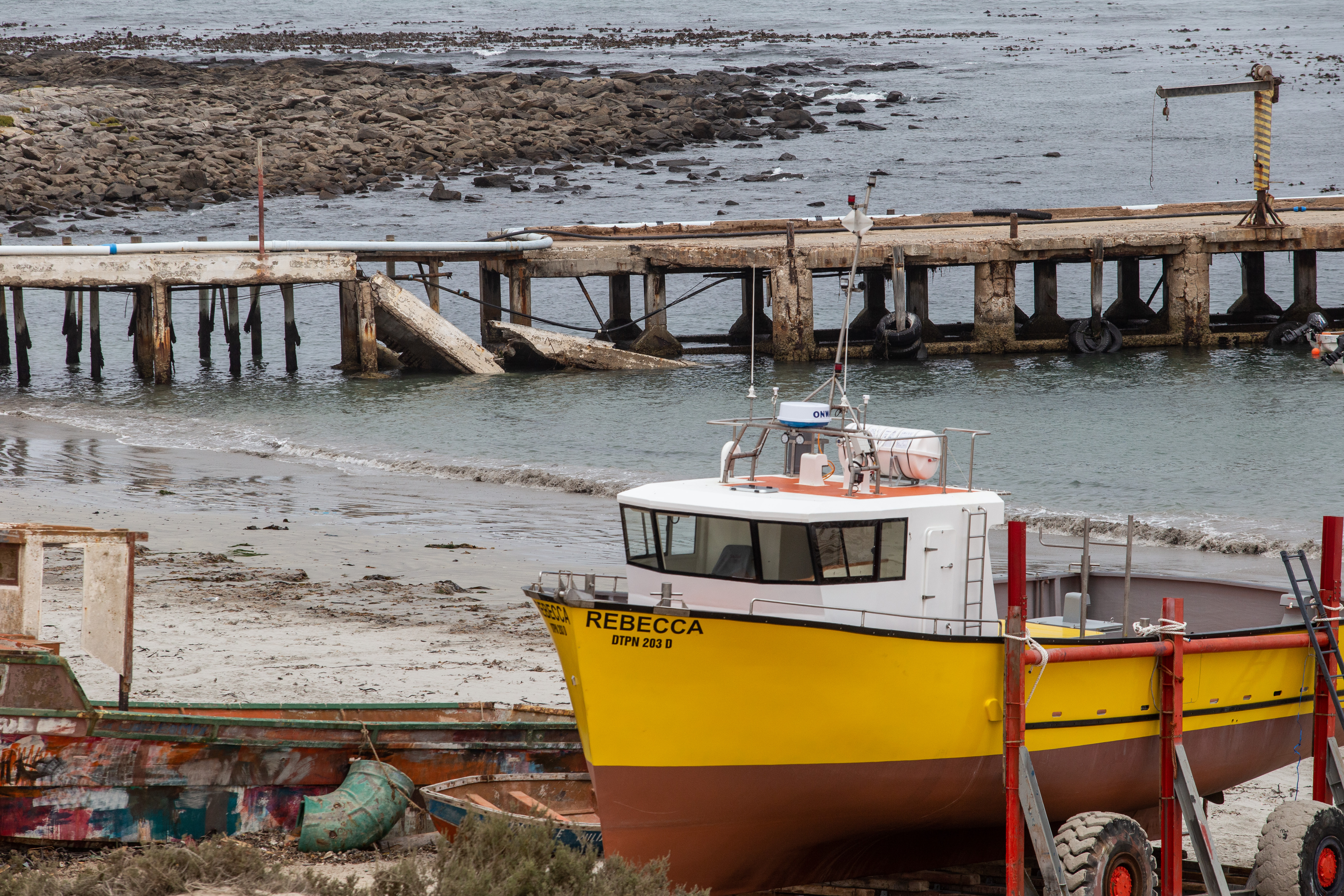 Abalone and rock lobster stocks are under severe threat — here’s how to preserve them