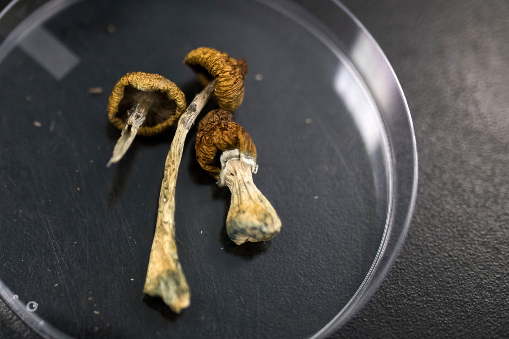How psychedelics act on the brain to relieve depression