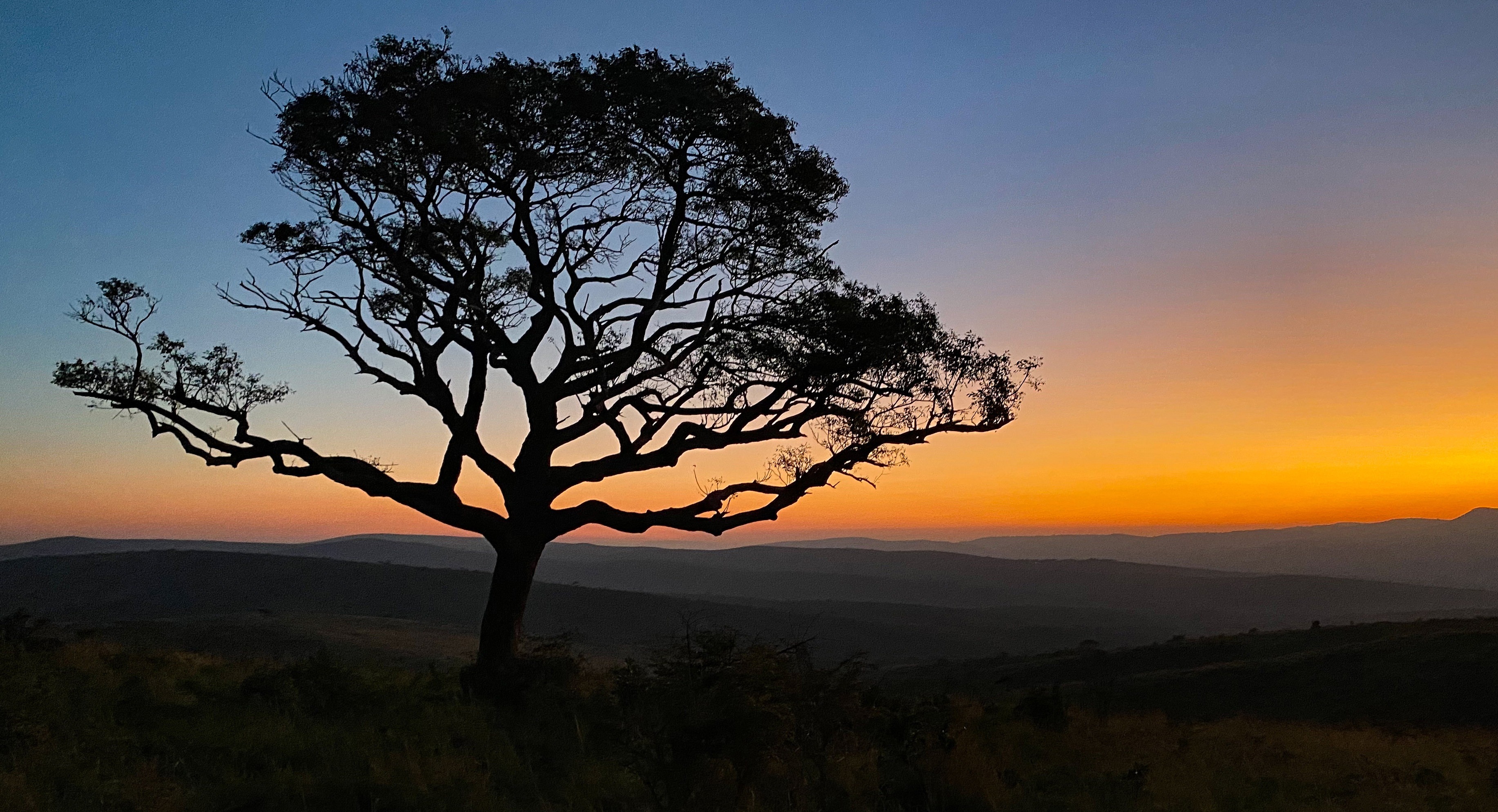 The ancient wilderness that looks after animals and people