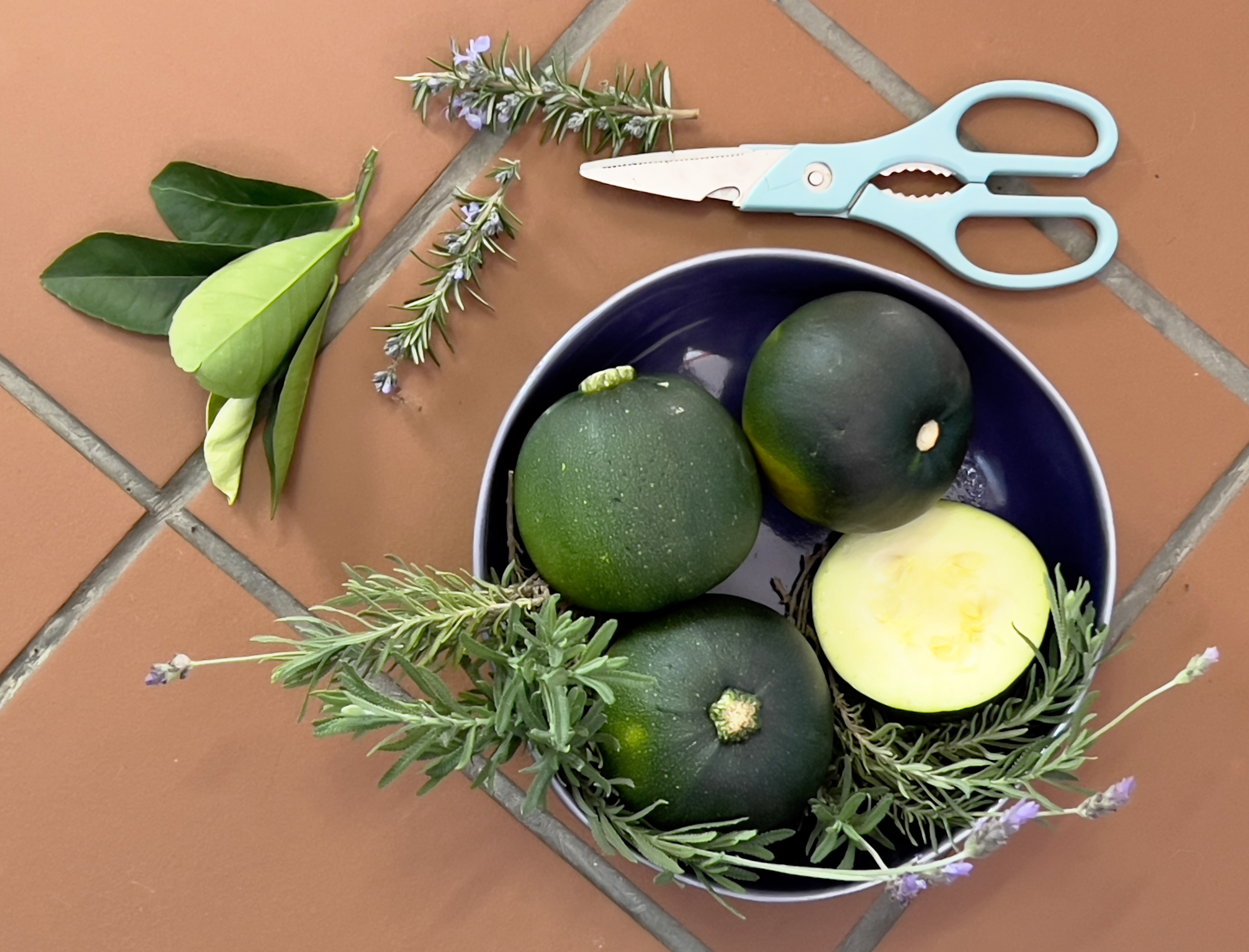 In praise of the gem of vegetables