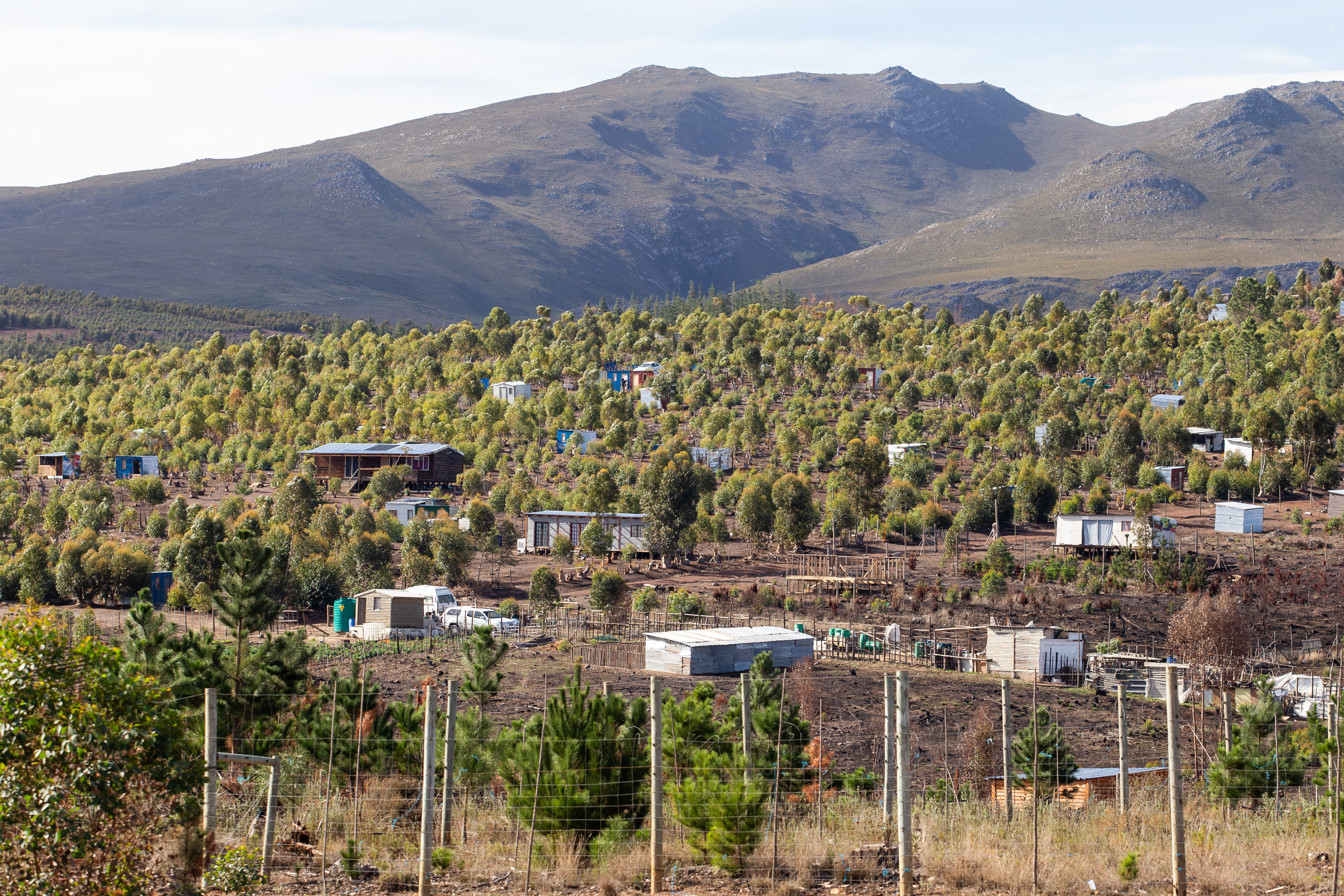 Khoisan settlement edges closer to eviction from forestry department land in Grabouw