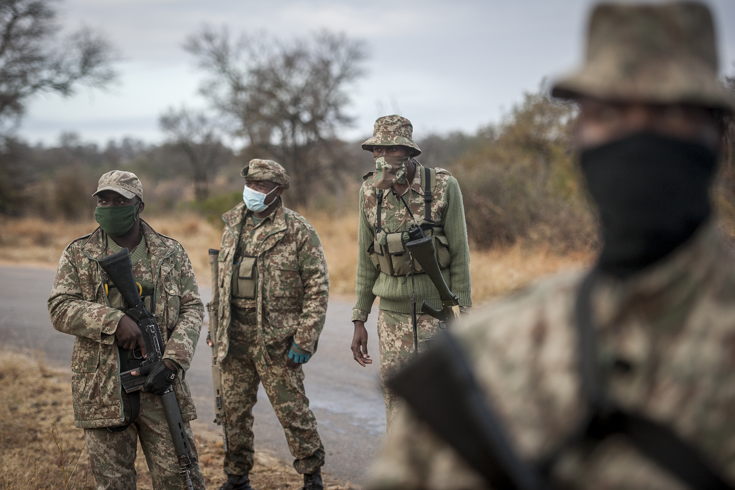 A tribute to the unsung wildlife conservation heroes dedicated to safeguarding our natural heritage