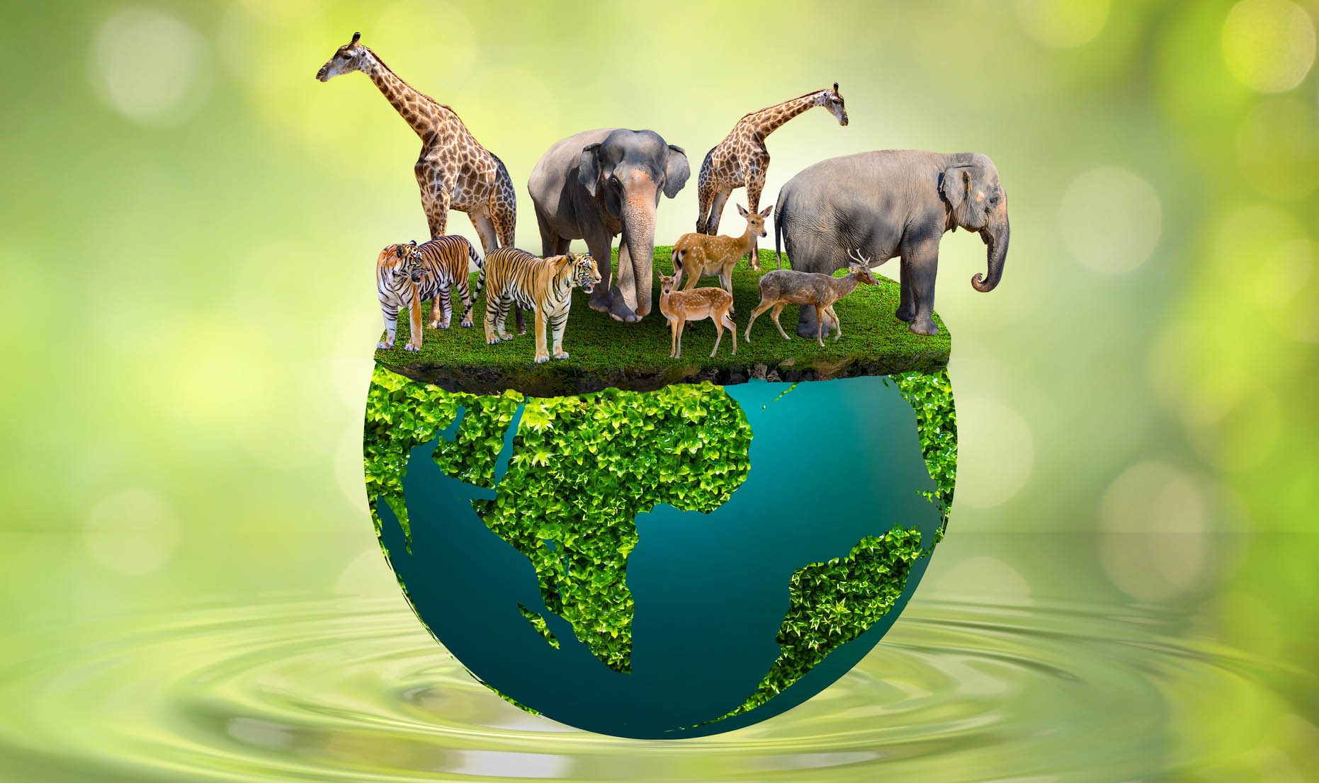 Dramatically different and signalling a lost opportunity — South Africa’s revised environmental policy