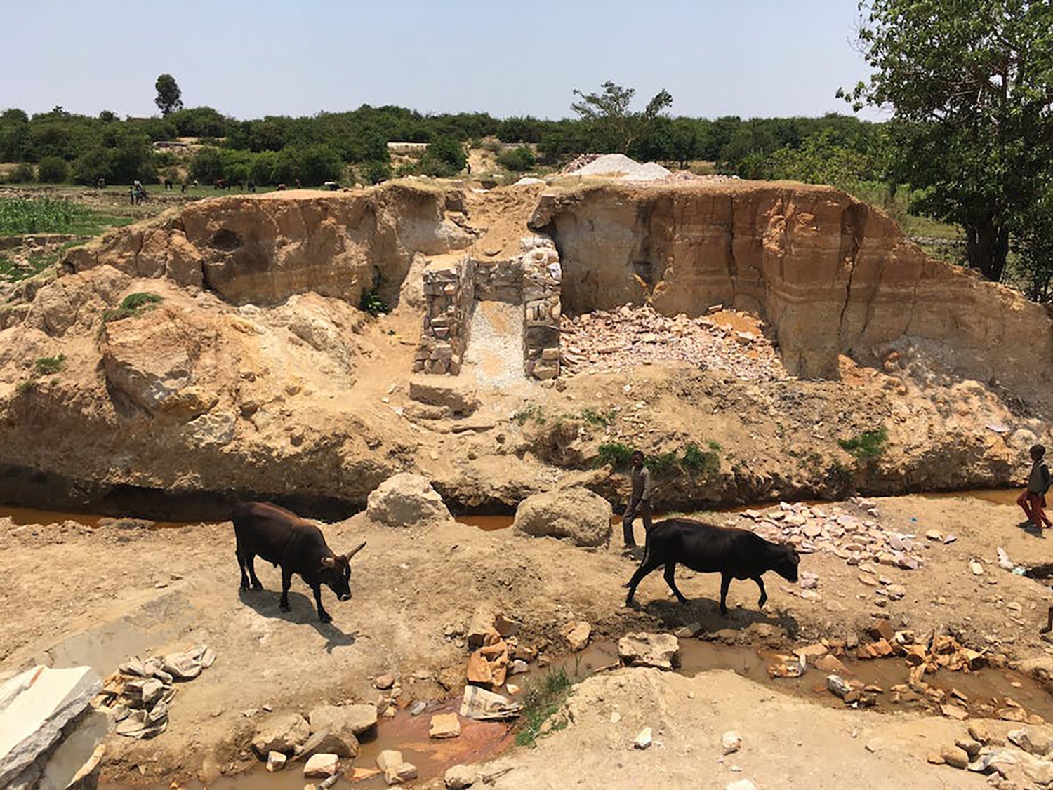 Lessons from Angola on how not to manage and respond to a drought crisis