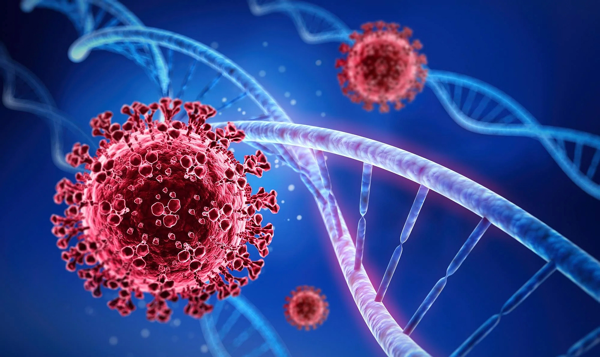 Ten cases of Omicron sublineage found in Gauteng
