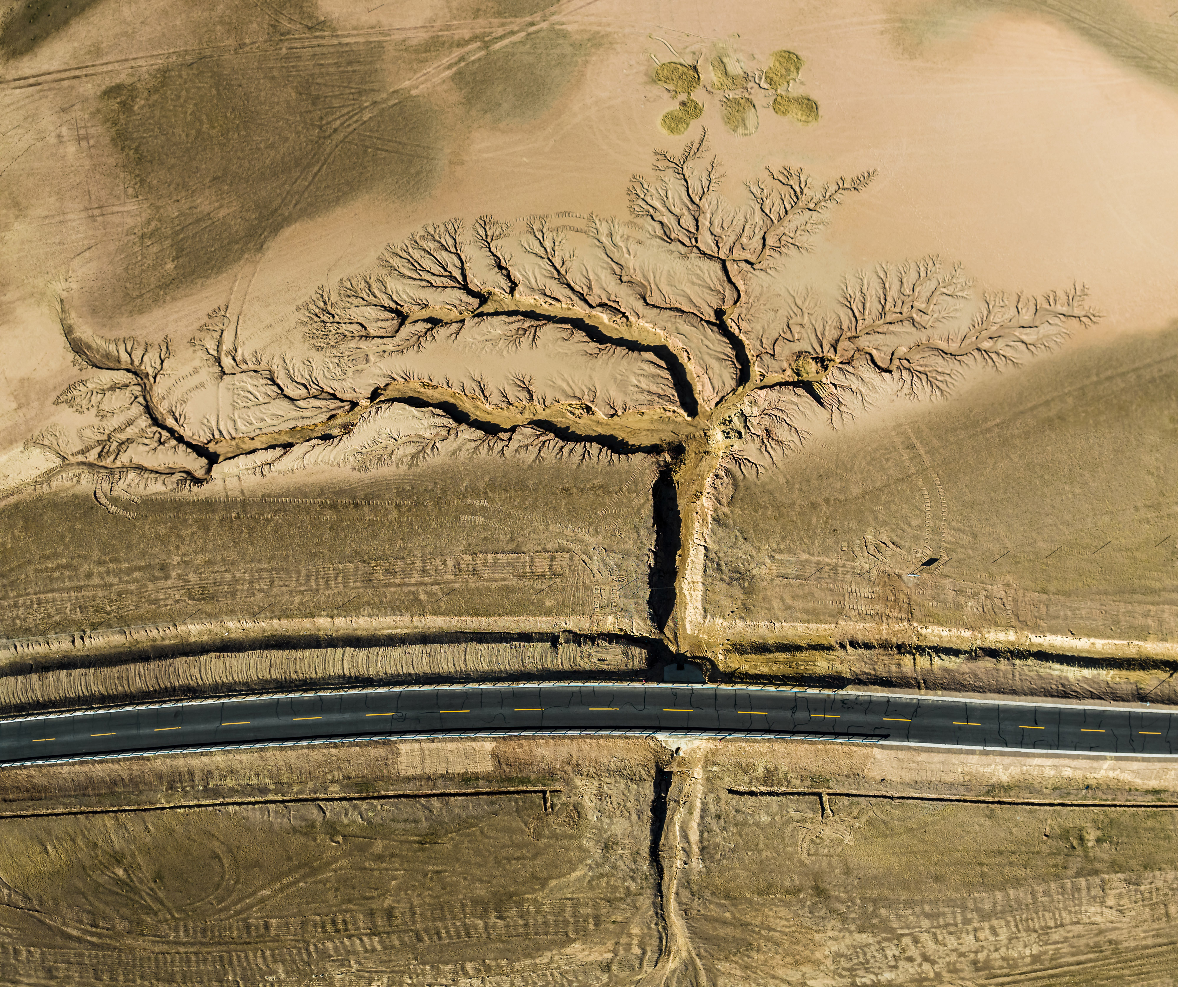 2022 Nature Conservancy photo contest winners – climate, people and nature
