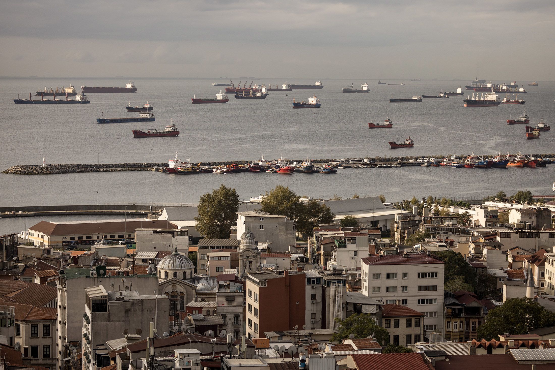 Ukraine Latest: Kyiv says 218 grain vessels now stuck in place