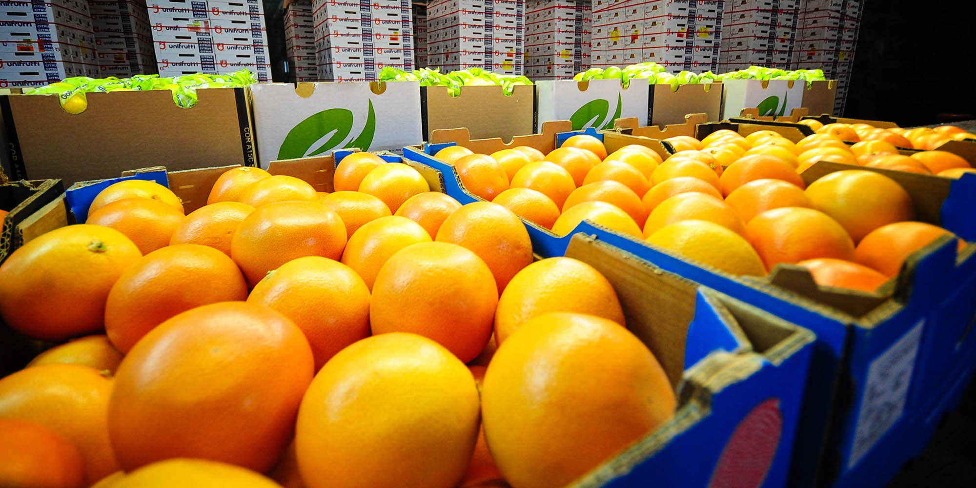 SA agricultural exports remained robust in second quarter of the year