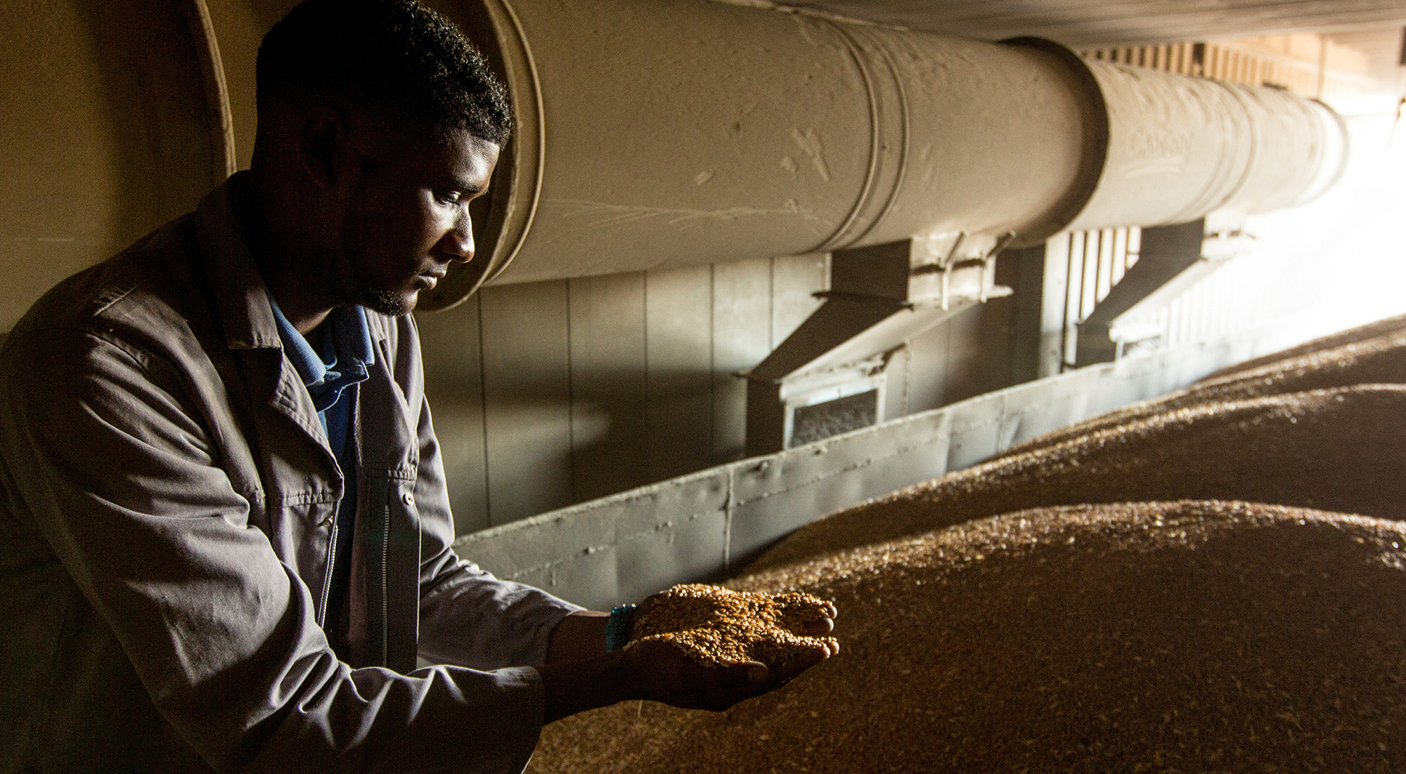 Achieving food security demands that we look at new agricultural pathways