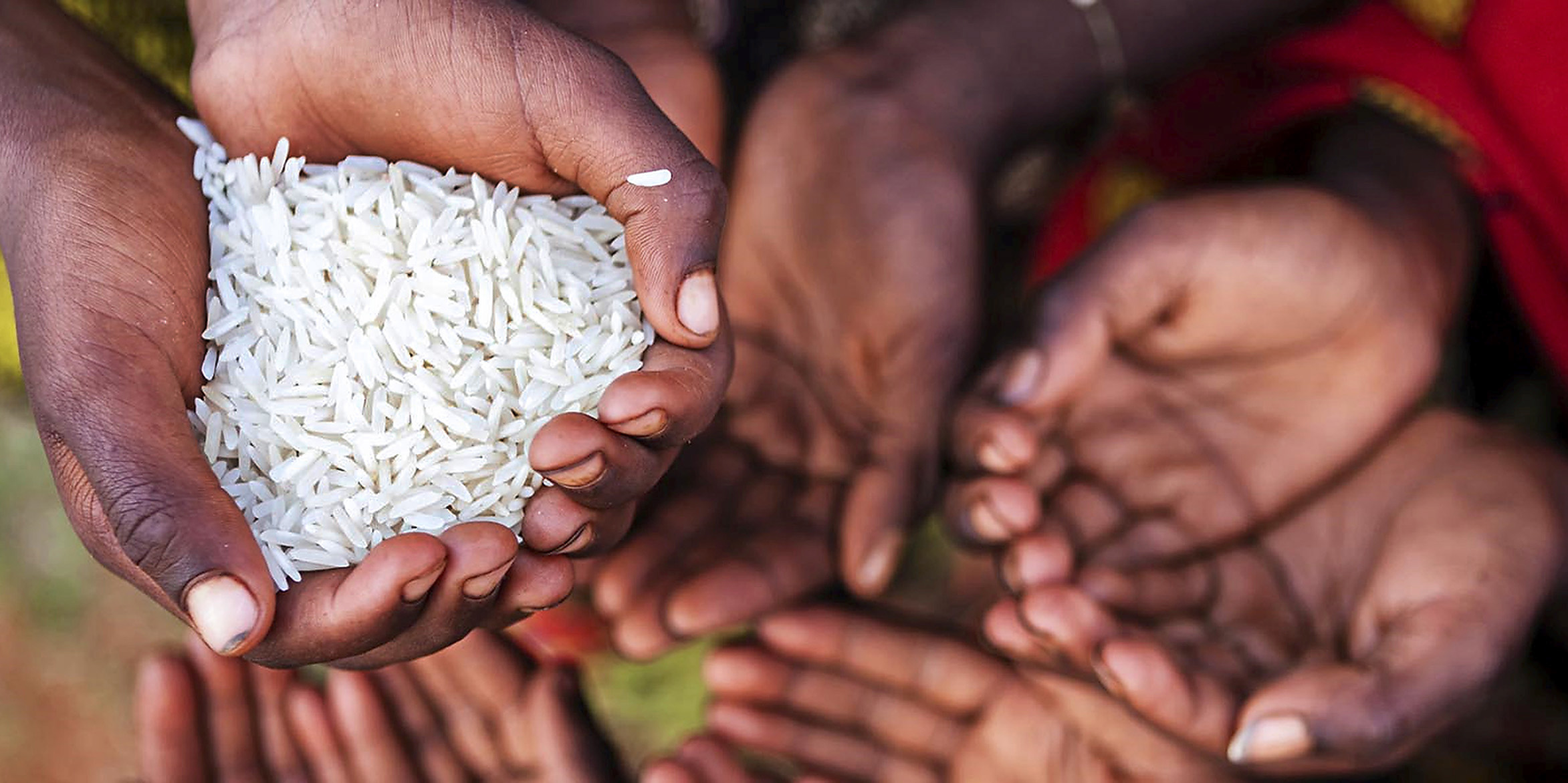 Climate crisis exacerbates food insecurity, plan to overcome it remains dormant