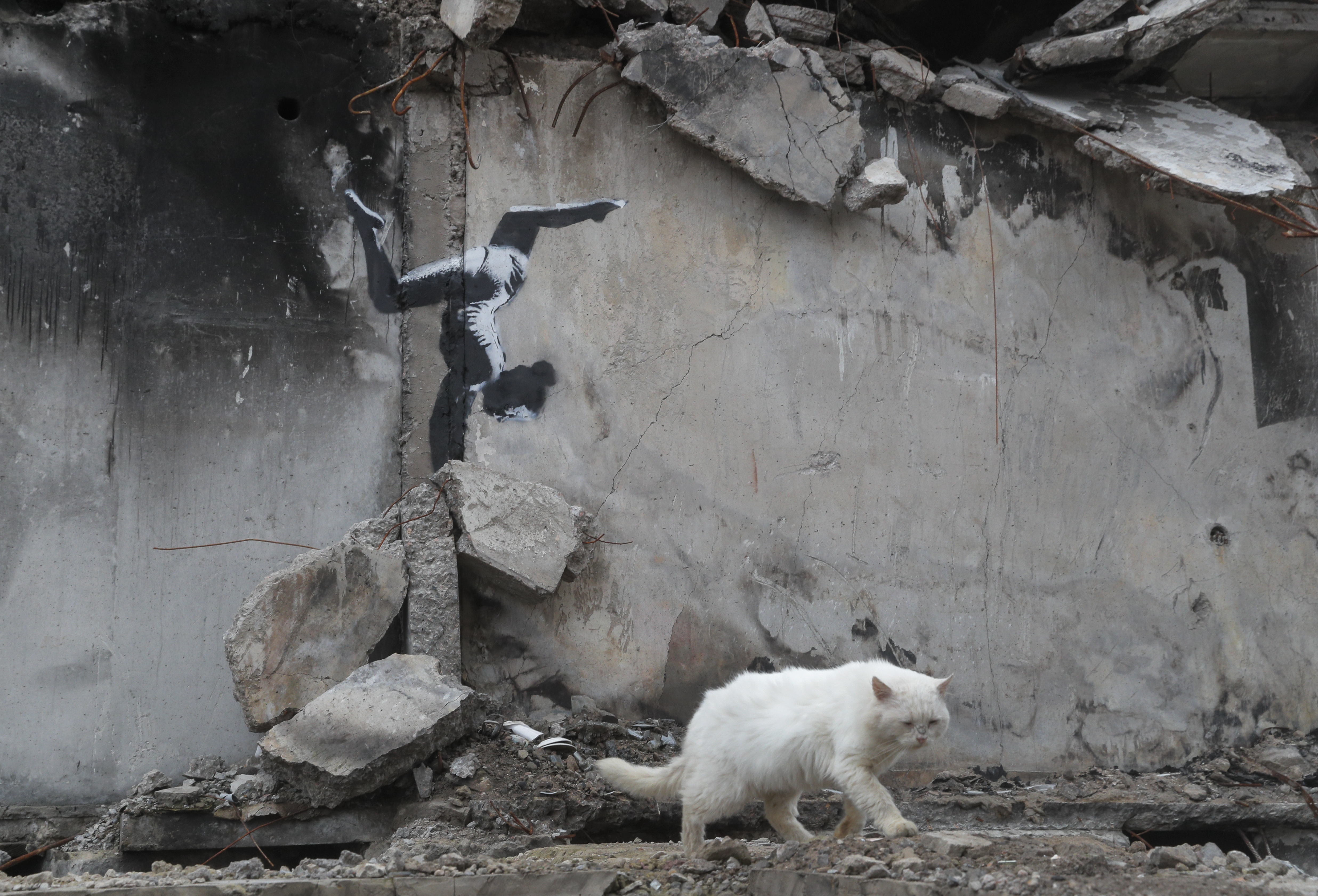 Our World in Pictures – Week 46 of 2022
