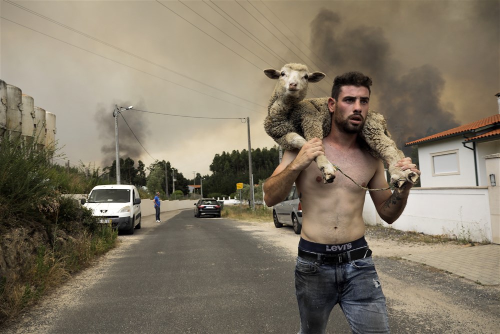 2022: The angry planet, in pictures