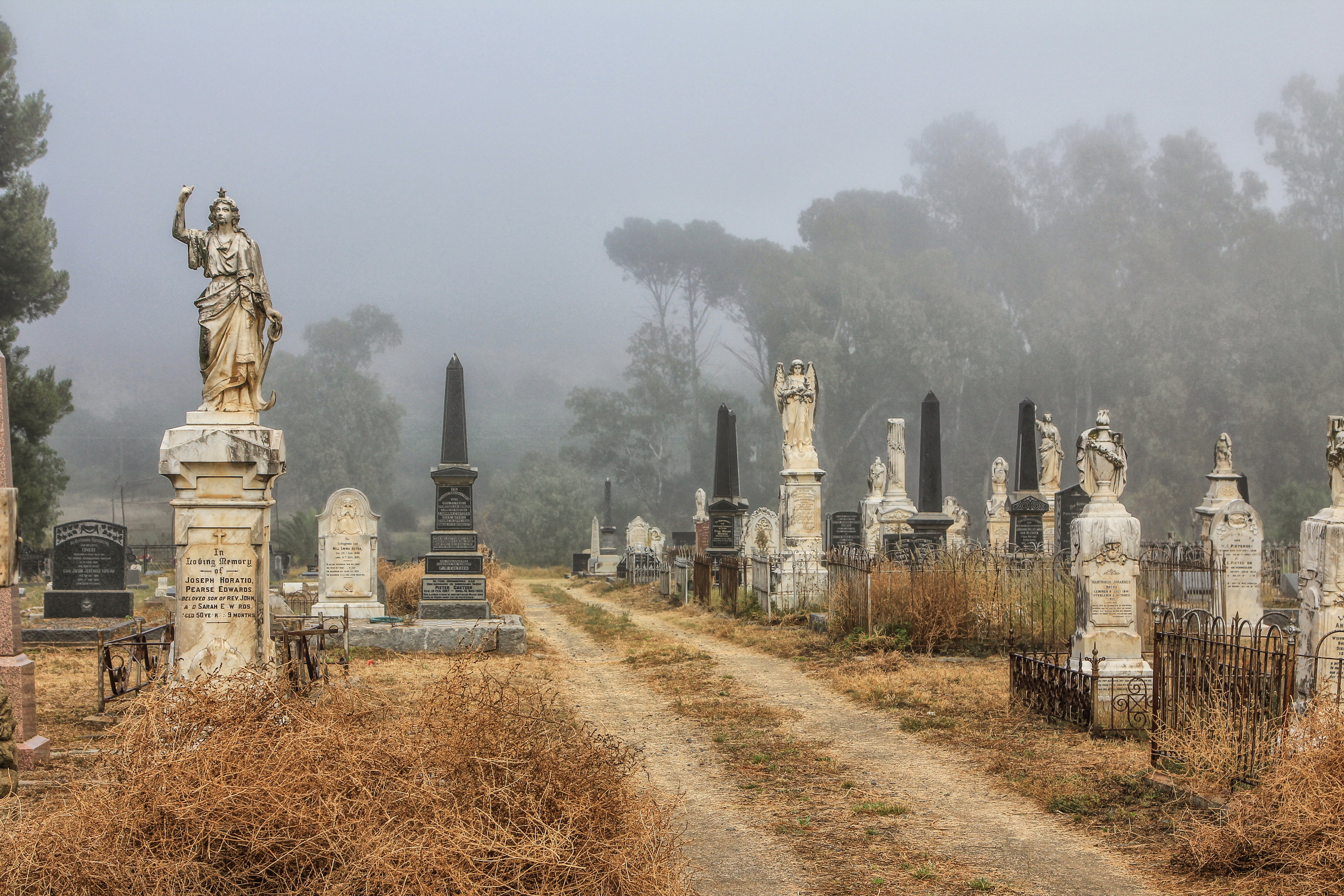 A Karoo Graveyard: Thoughts, mist and memories
