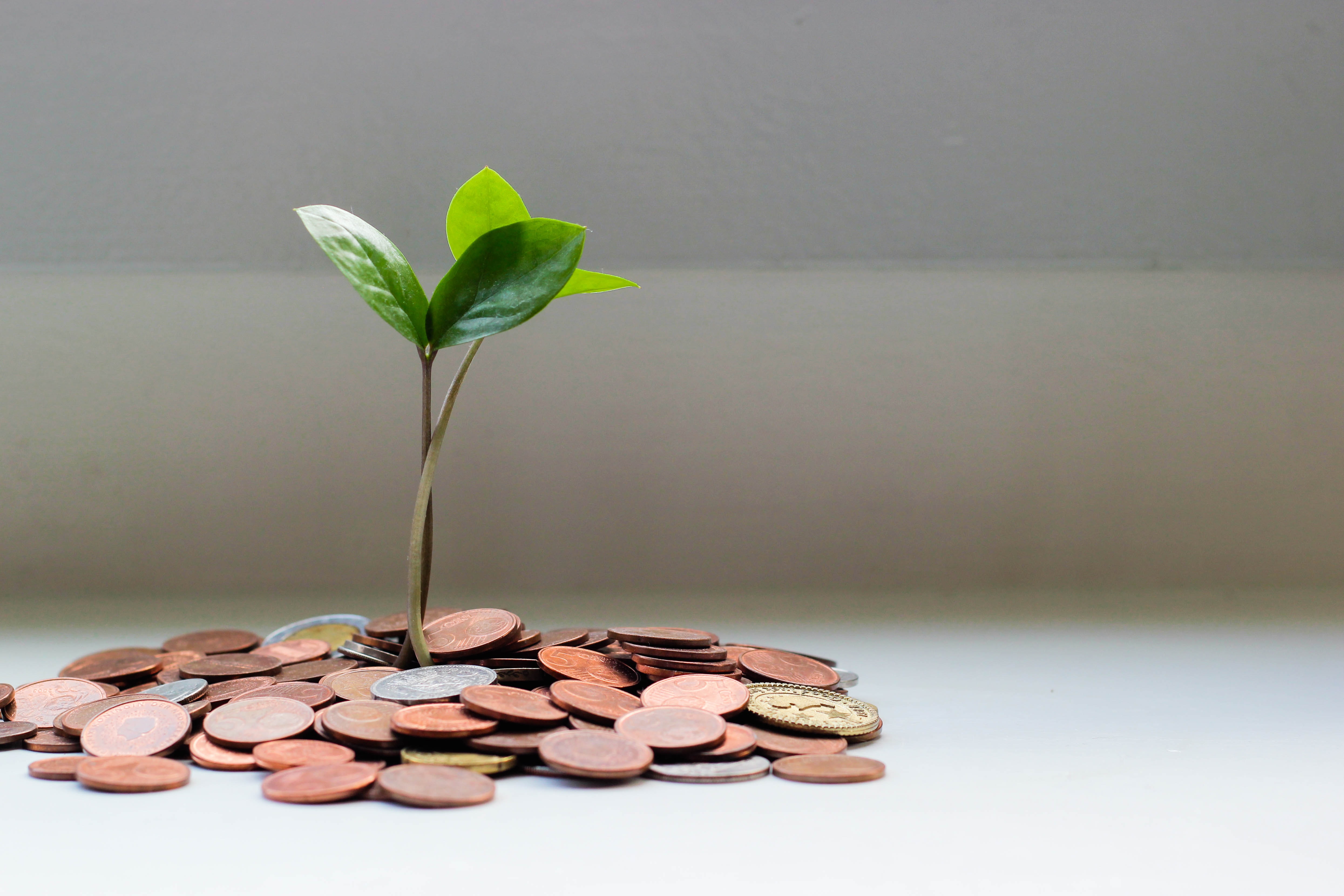 How ‘lifestyle inflation’ gets in the way of financial independence