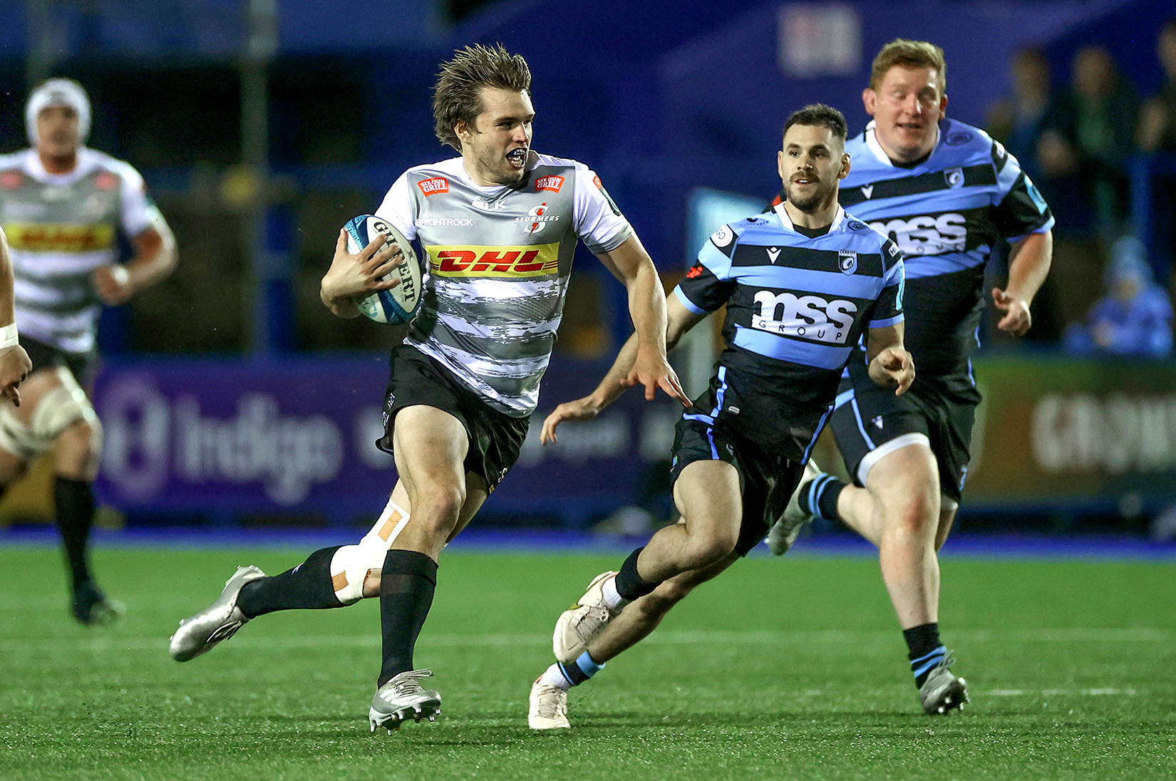 Stormers continue to defy odds as URC heavyweights despite uncertain future