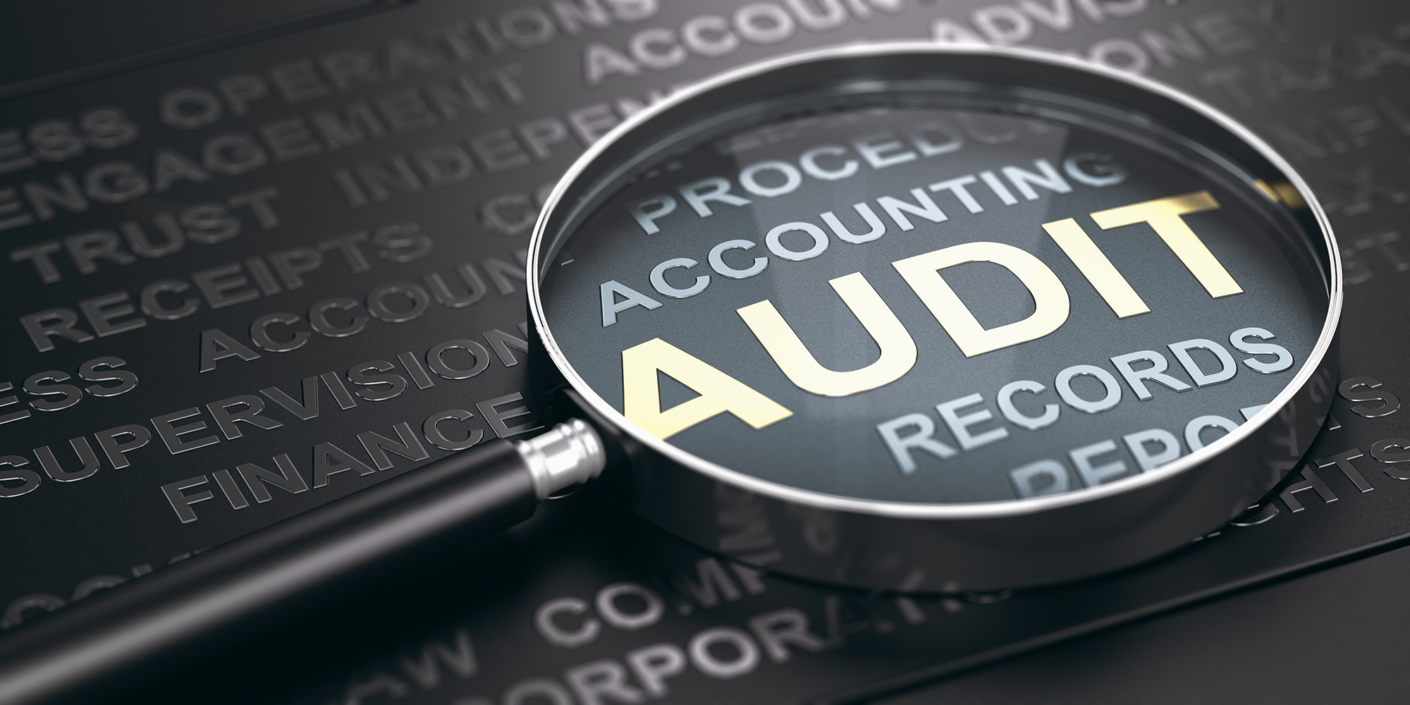 The South Africa we want will be realised only if all roleplayers in the accountability ecosystem work together