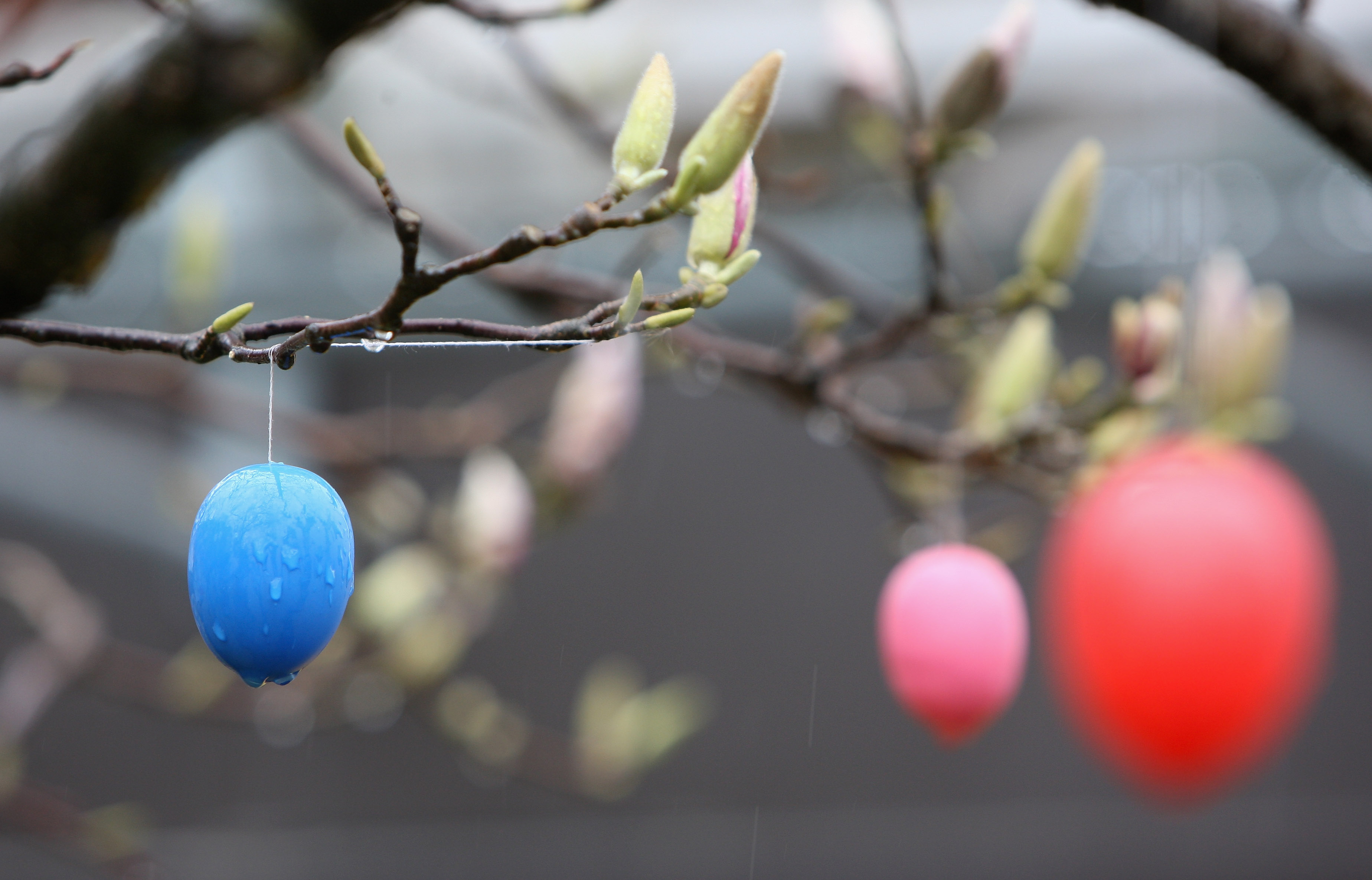 Easter eggs: their evolution from chicken to chocolate