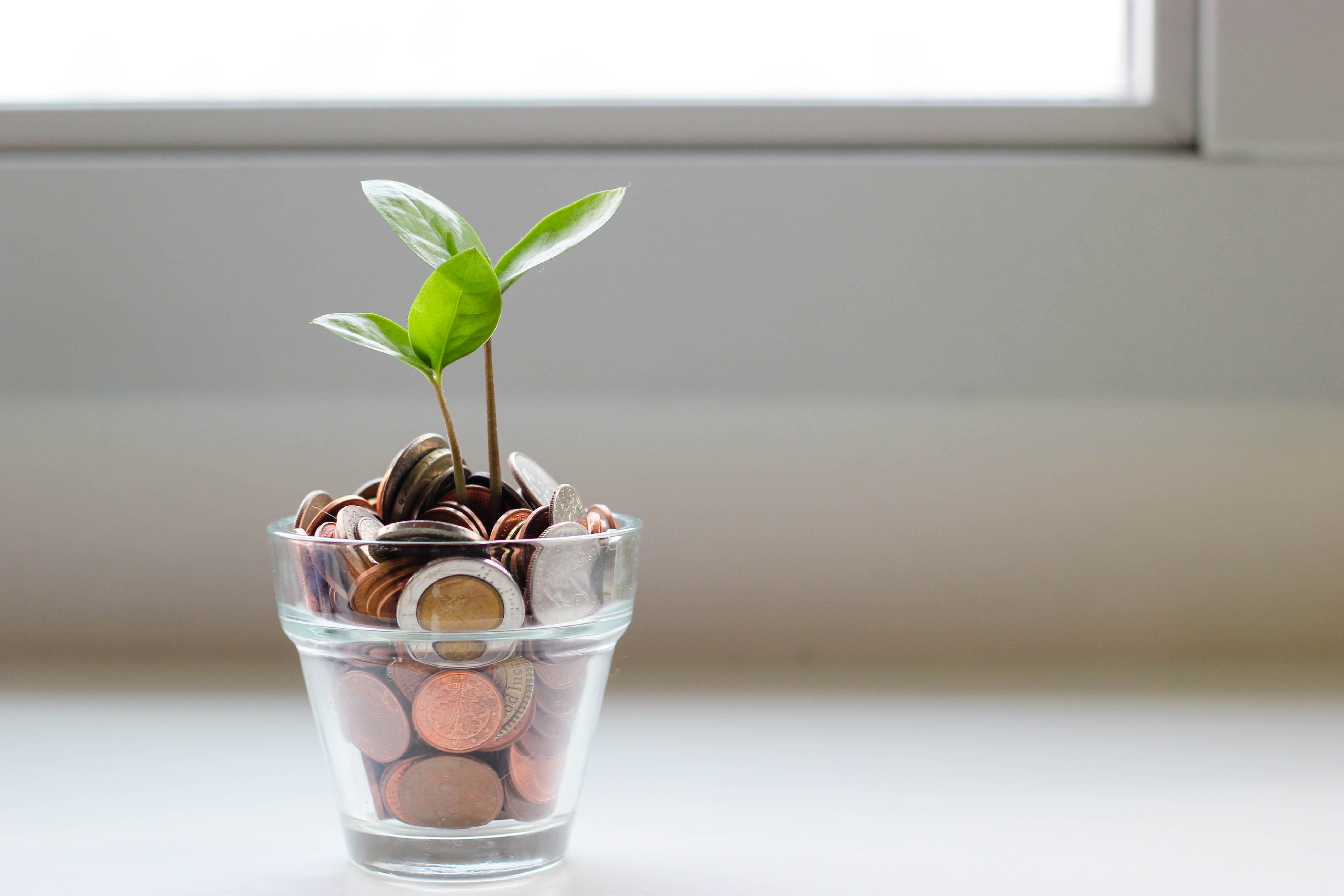 Saving for the future (even if it seems far away)
