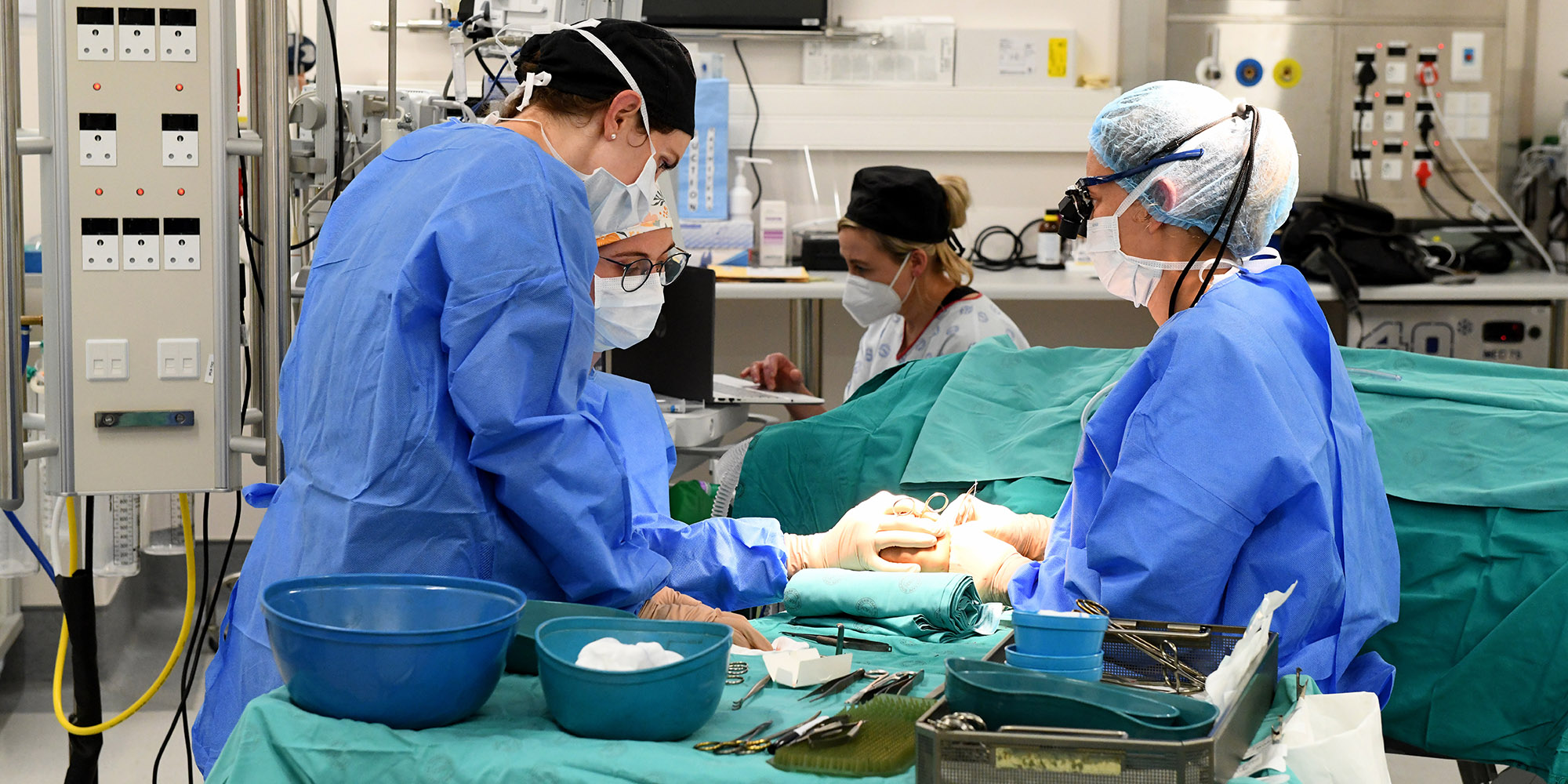 ‘Waiting lists to work for free’ – the struggle to specialise for young doctors in SA