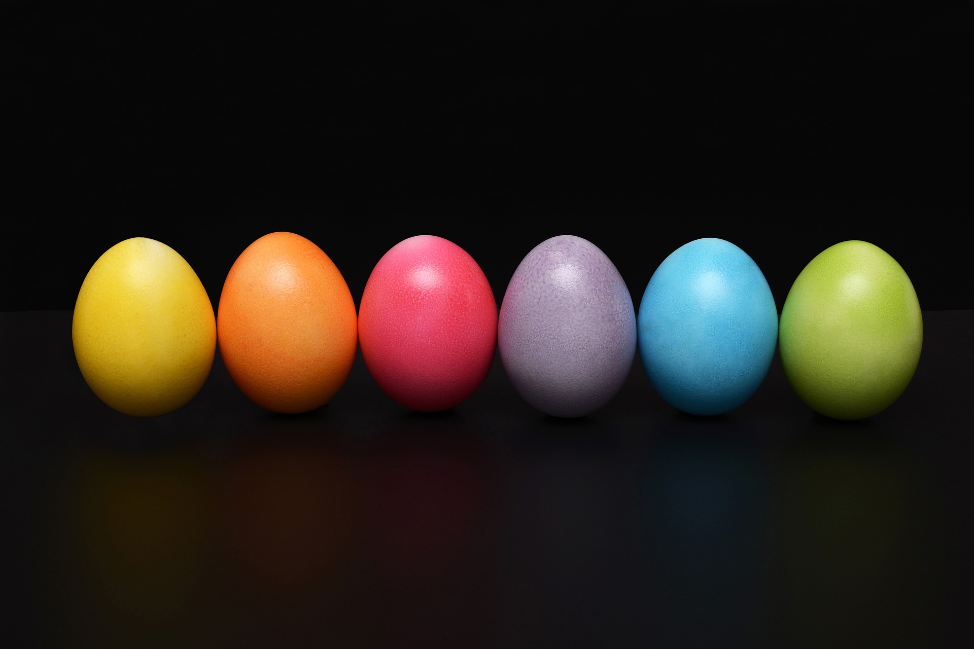 An opportunity for egg influencers