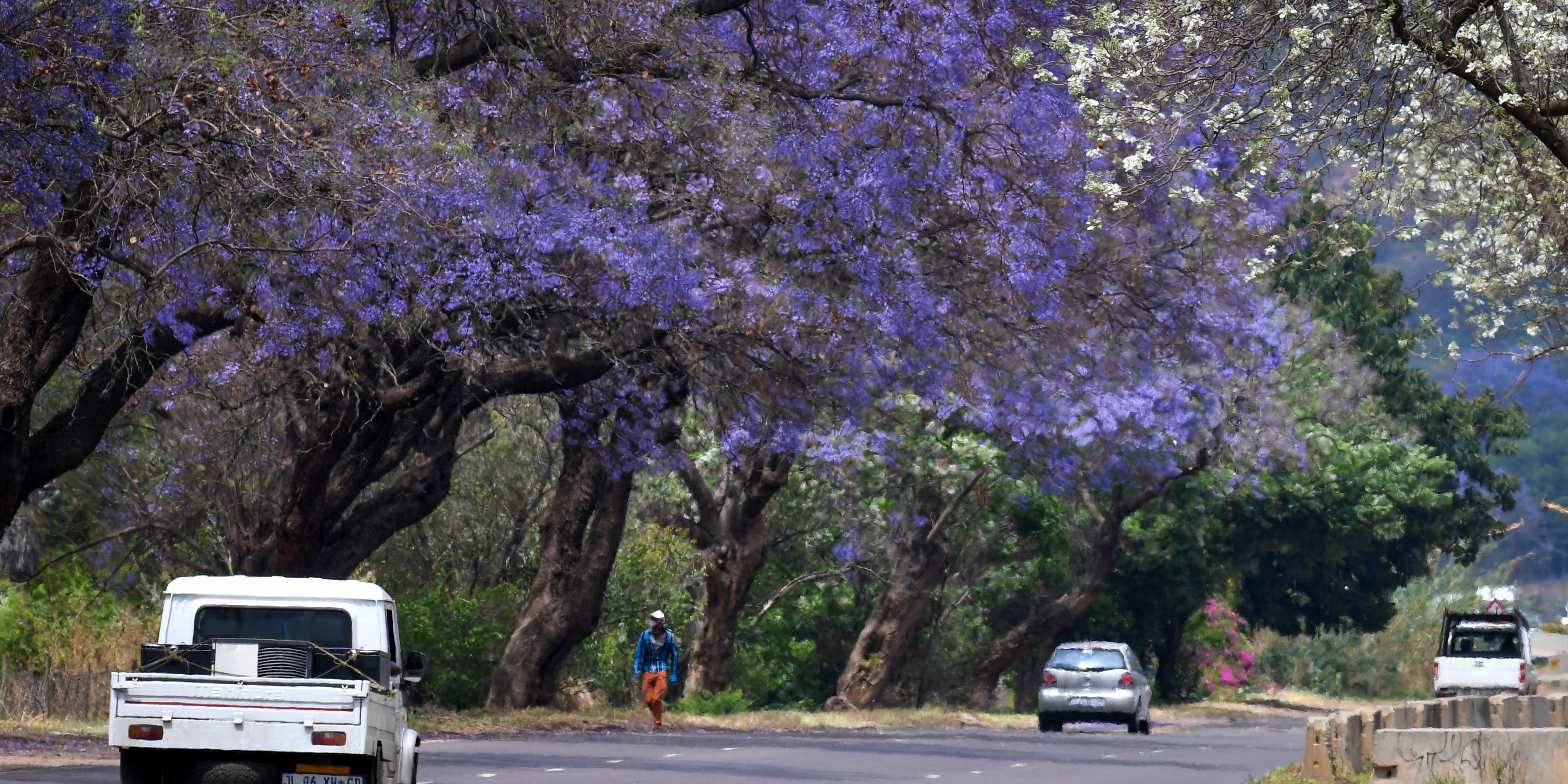 Trouble with a capital T – Jacaranda City municipality is wilting under bad finances and scandal