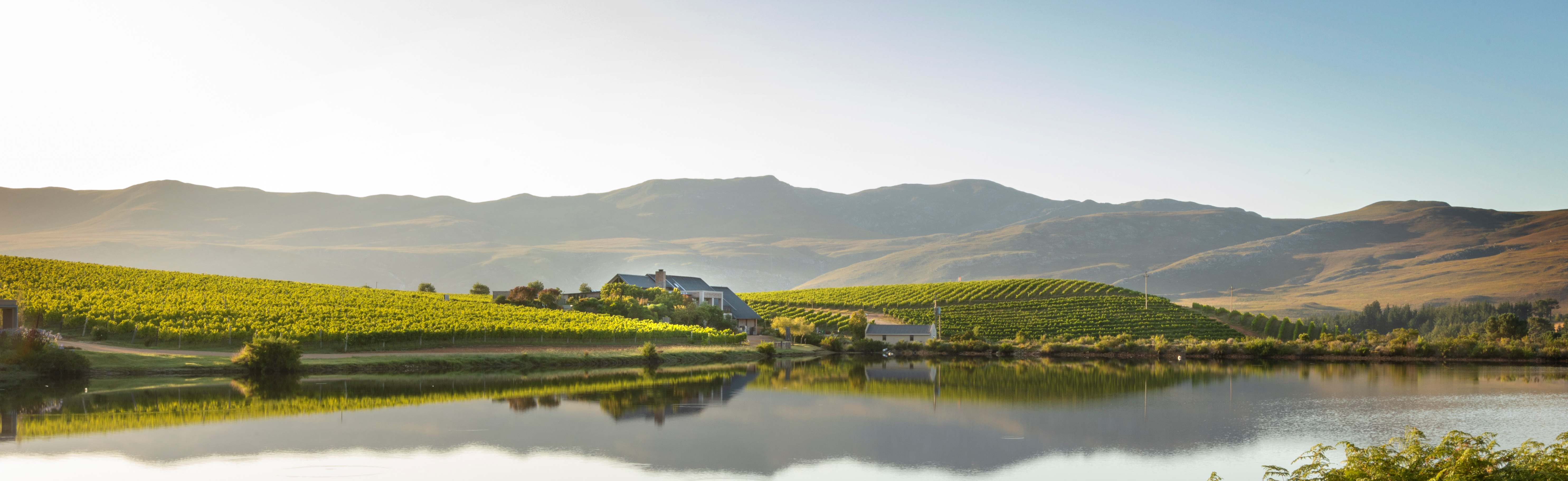 Creation Wines makes top-five ranking on prestigious World’s 50 Best Vineyards to Visit