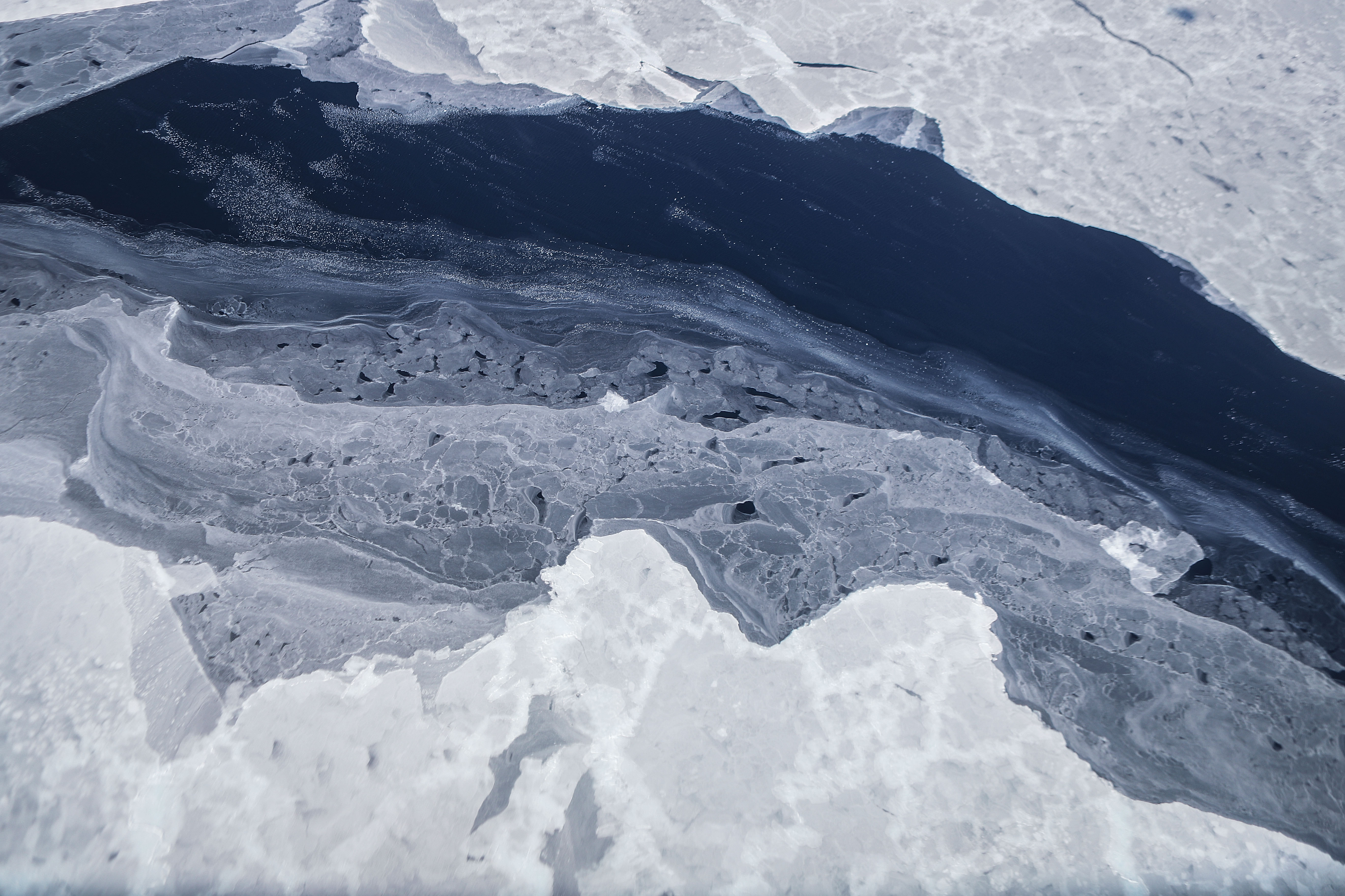 Antarctic winter sea ice hits 'extreme' record low