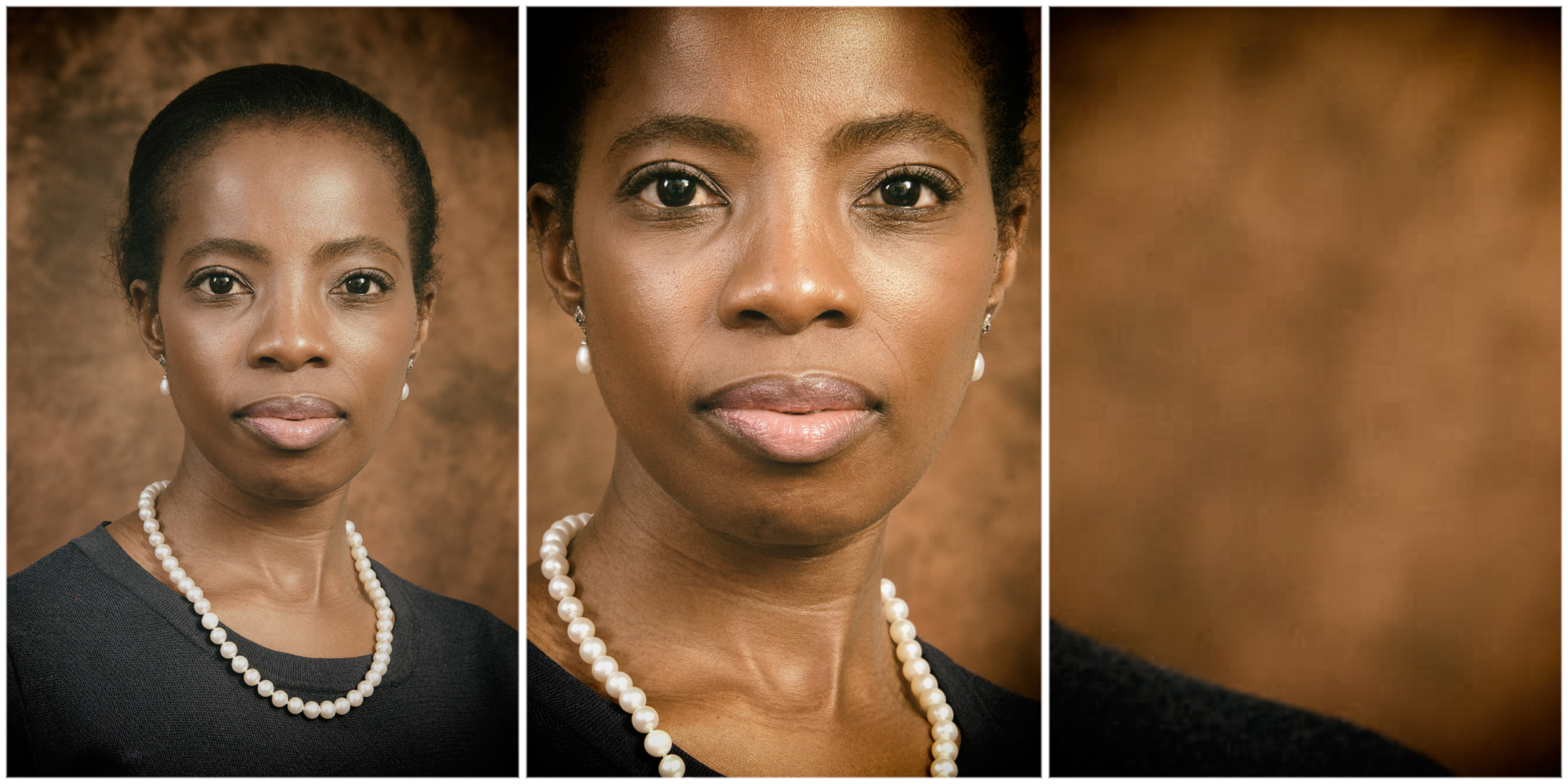 Digging into acting Public Protector’s perplexing lack of curiosity about pivotal Phala Phala facts